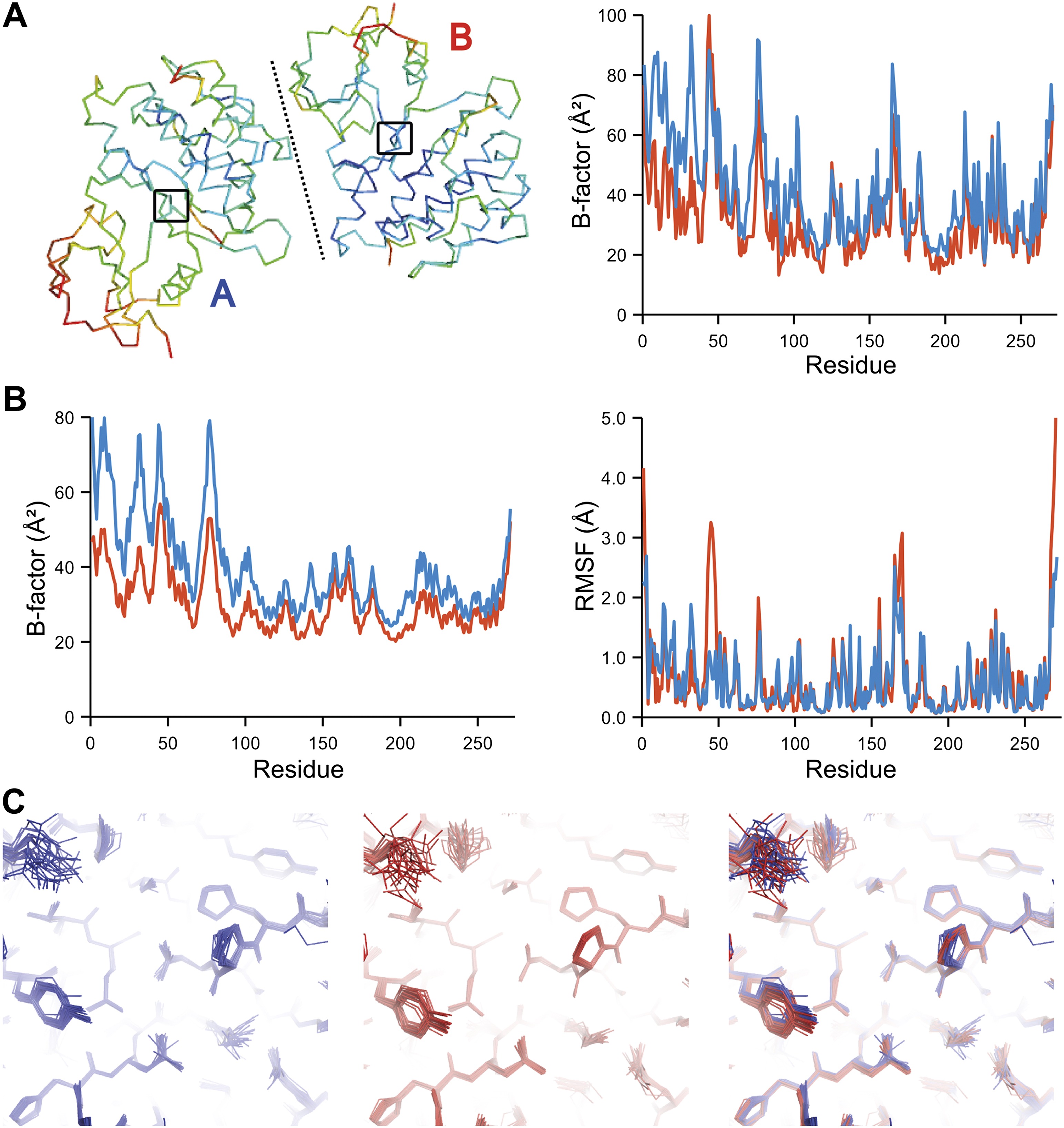 Modelling Dynamics In Protein Crystal Structures By Ensemble Refinement ...