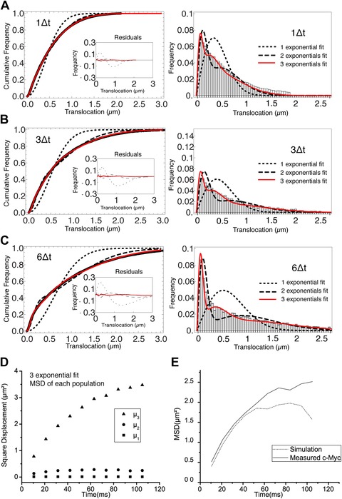 Single-molecule tracking in live cells reveals distinct target-search strategies of ...