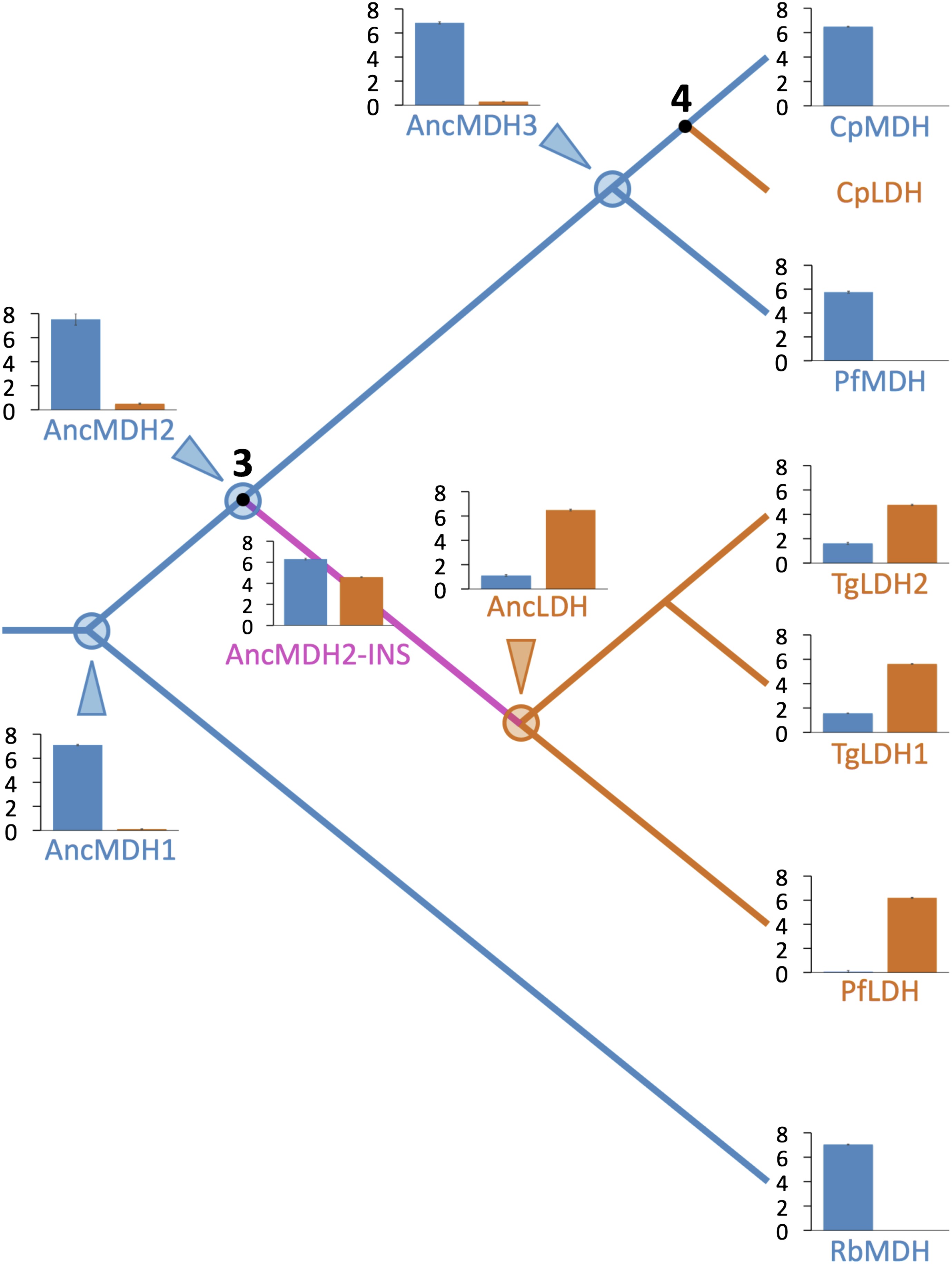 download research directions in database