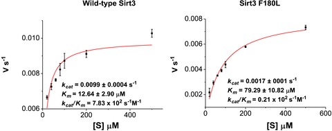 Identification of ‘erasers’ for lysine crotonylated histone marks using ...