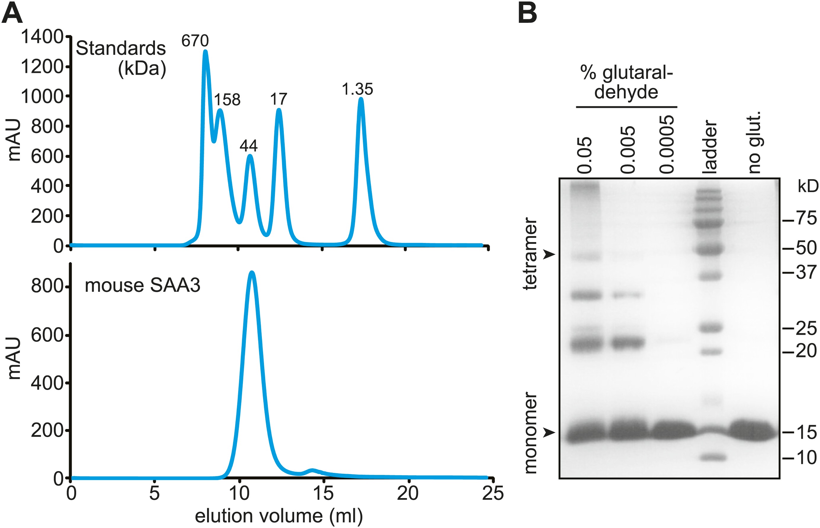 Serum Amyloid A Is A Retinol Binding Protein That Transports Retinol During Bacterial Infection Elife Lens