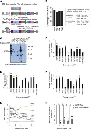 Elife impact factor Elife impact factor
