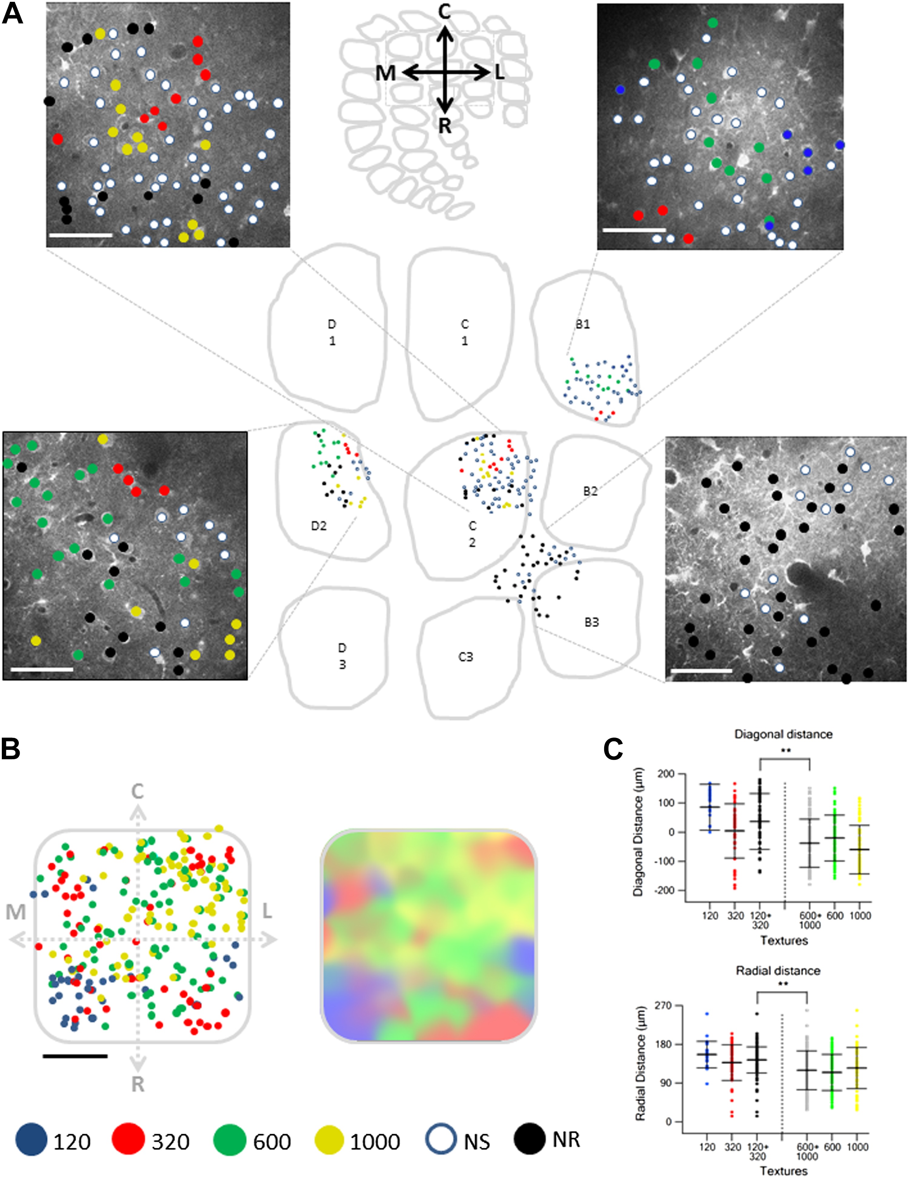 download fifth international conference of the legal profession monte carlo monaco july 1924 1954 income tax treaties a comparison of
