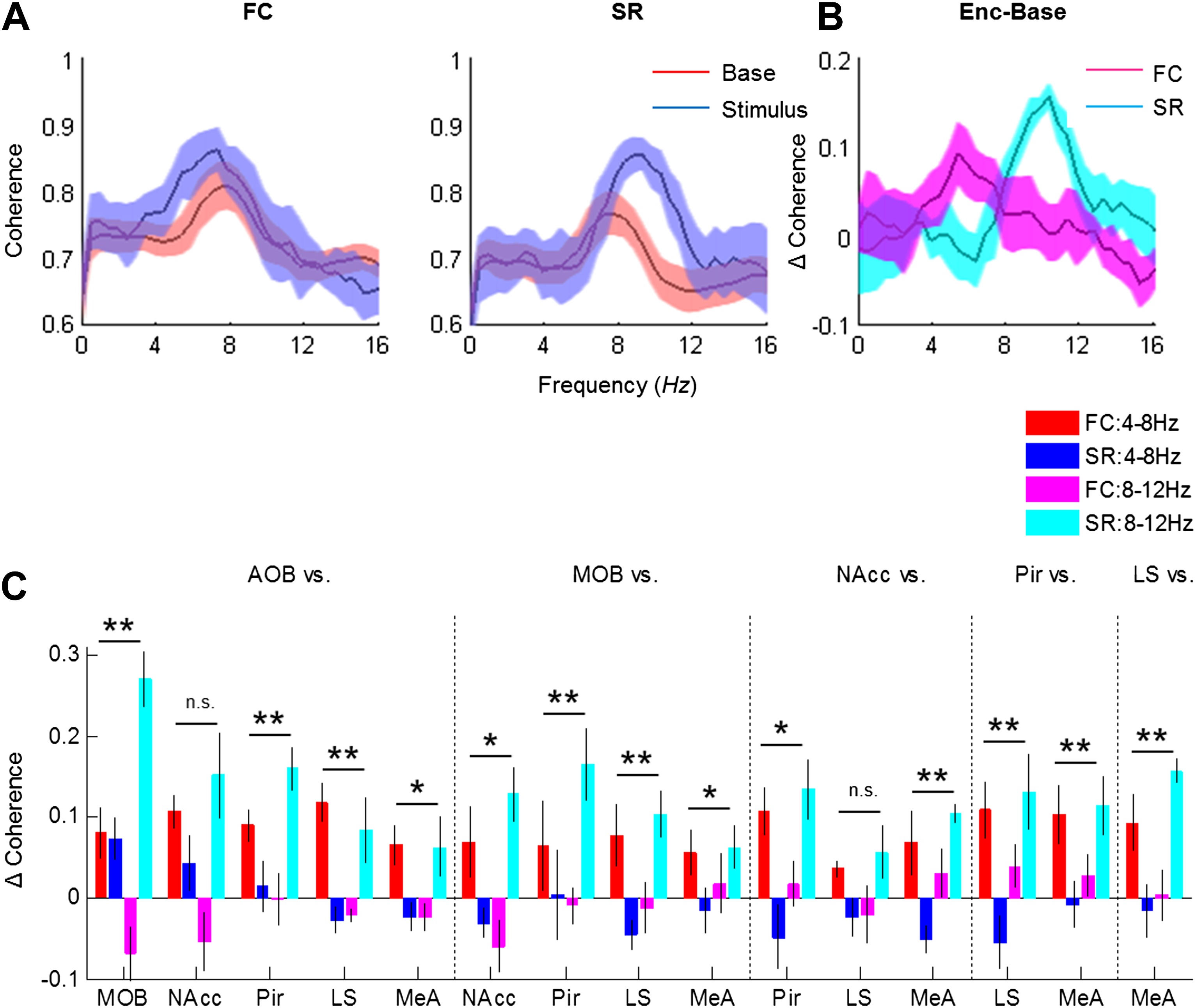 Different types of theta rhythmicity are induced by social and fearful ...