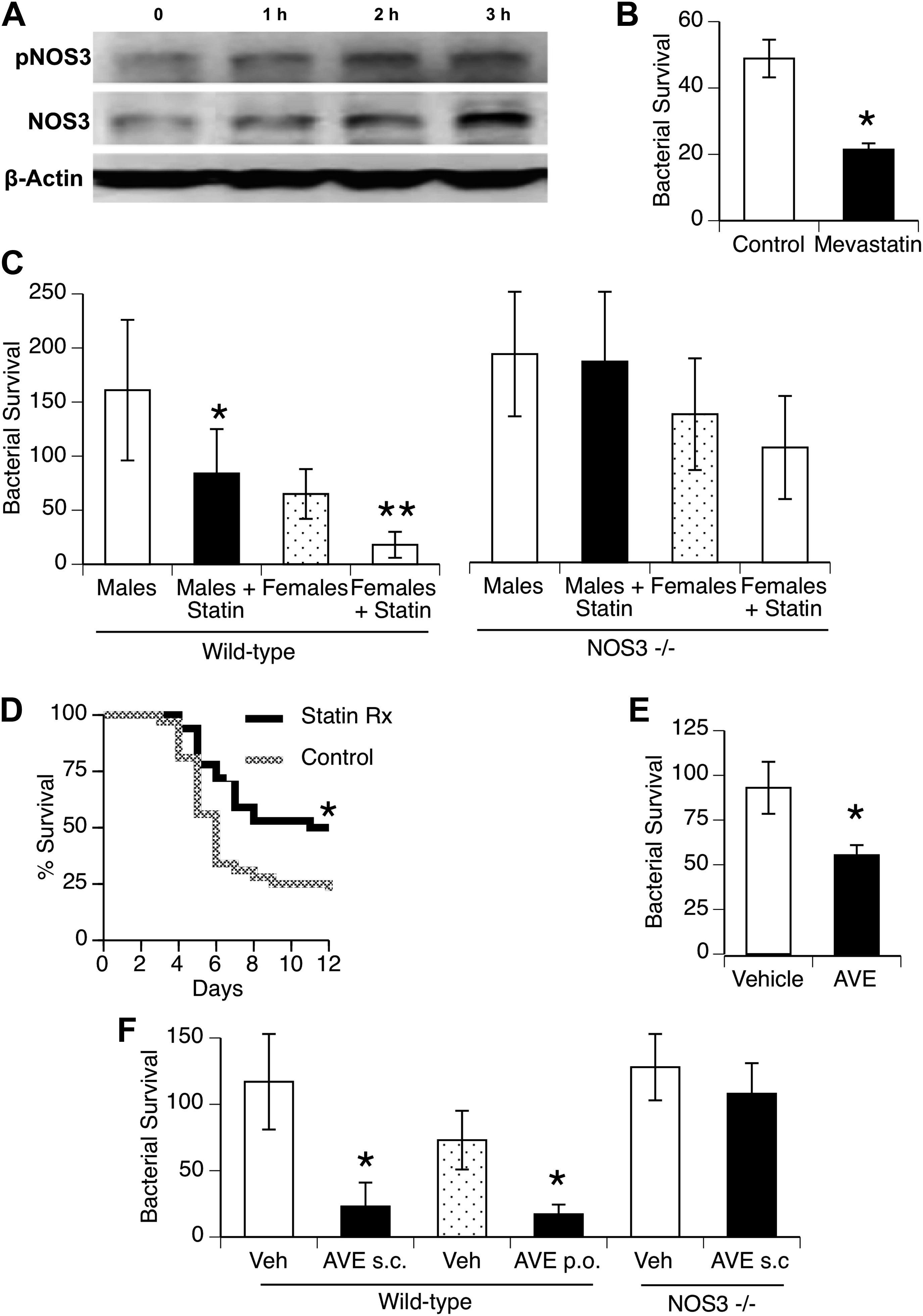 Female resistance to pneumonia identifies lung macrophage nitric oxide ...