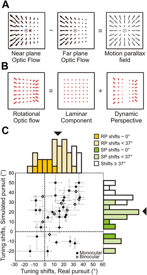 Role Of Visual And Non-visual Cues In Constructing A Rotation-invariant ...