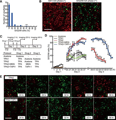histogram 6d signal of propagation Intercellular extracellular