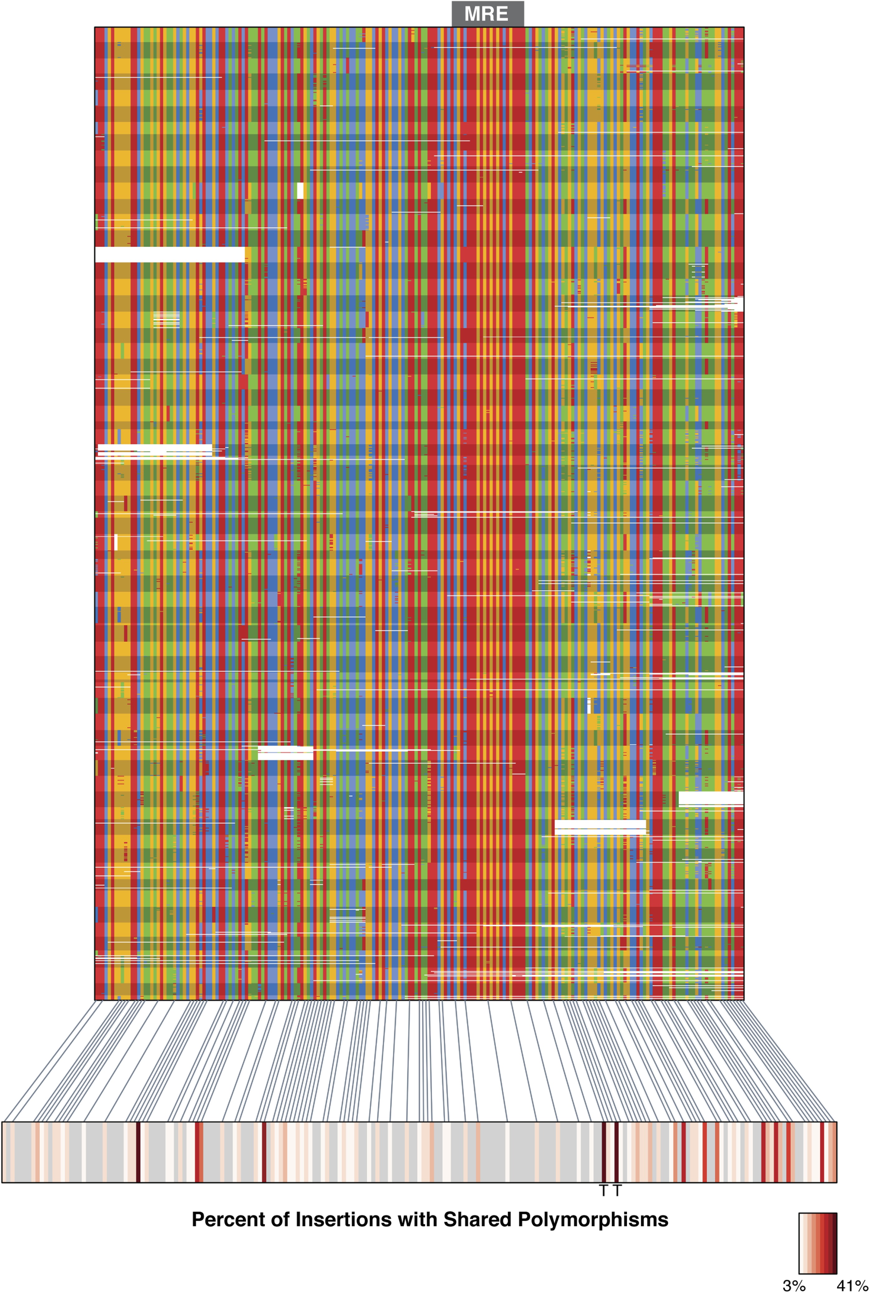 online geographies of forced eviction