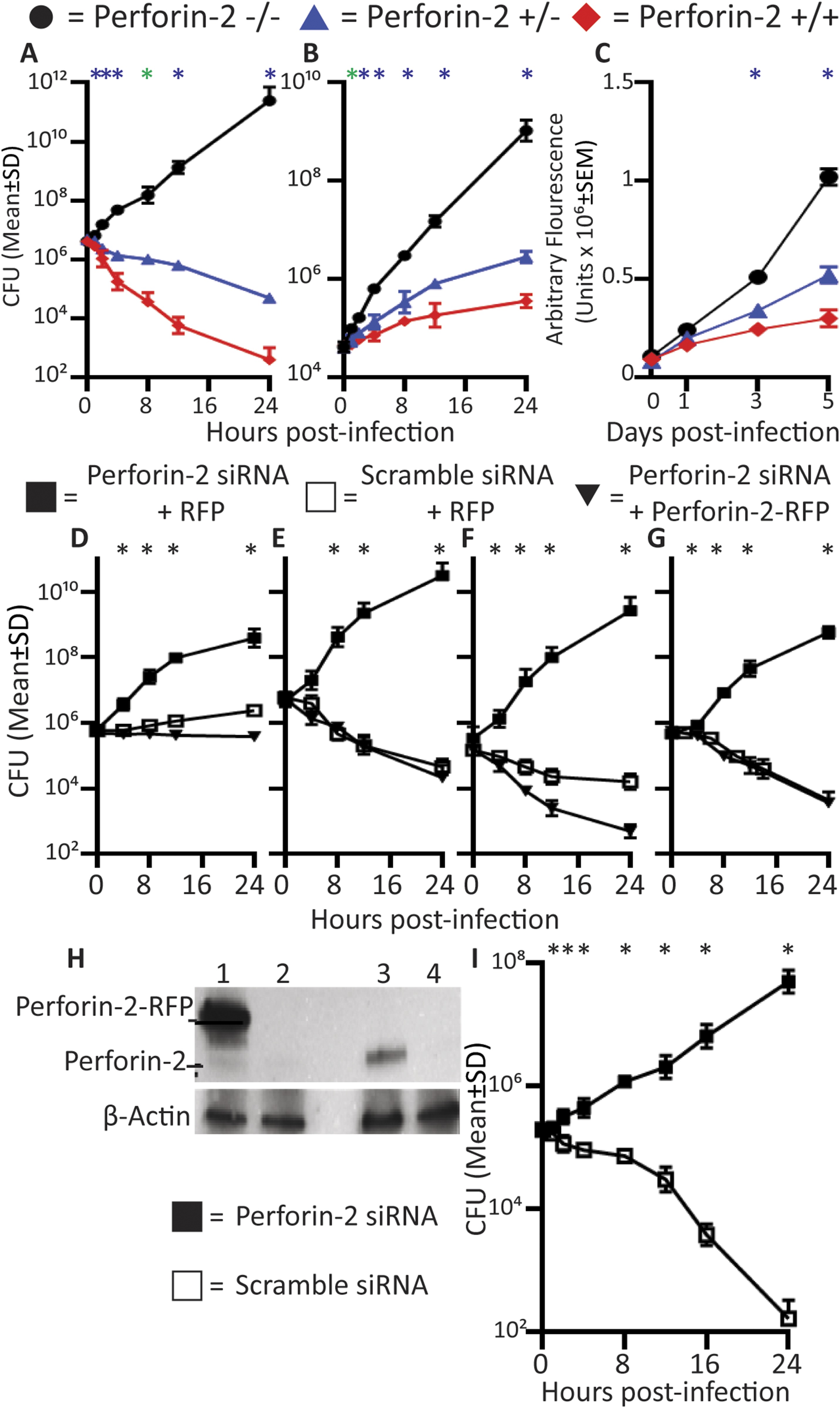 Perforin Rats Perforin-2 is essential for intracellular defense of parenchymal cells ...