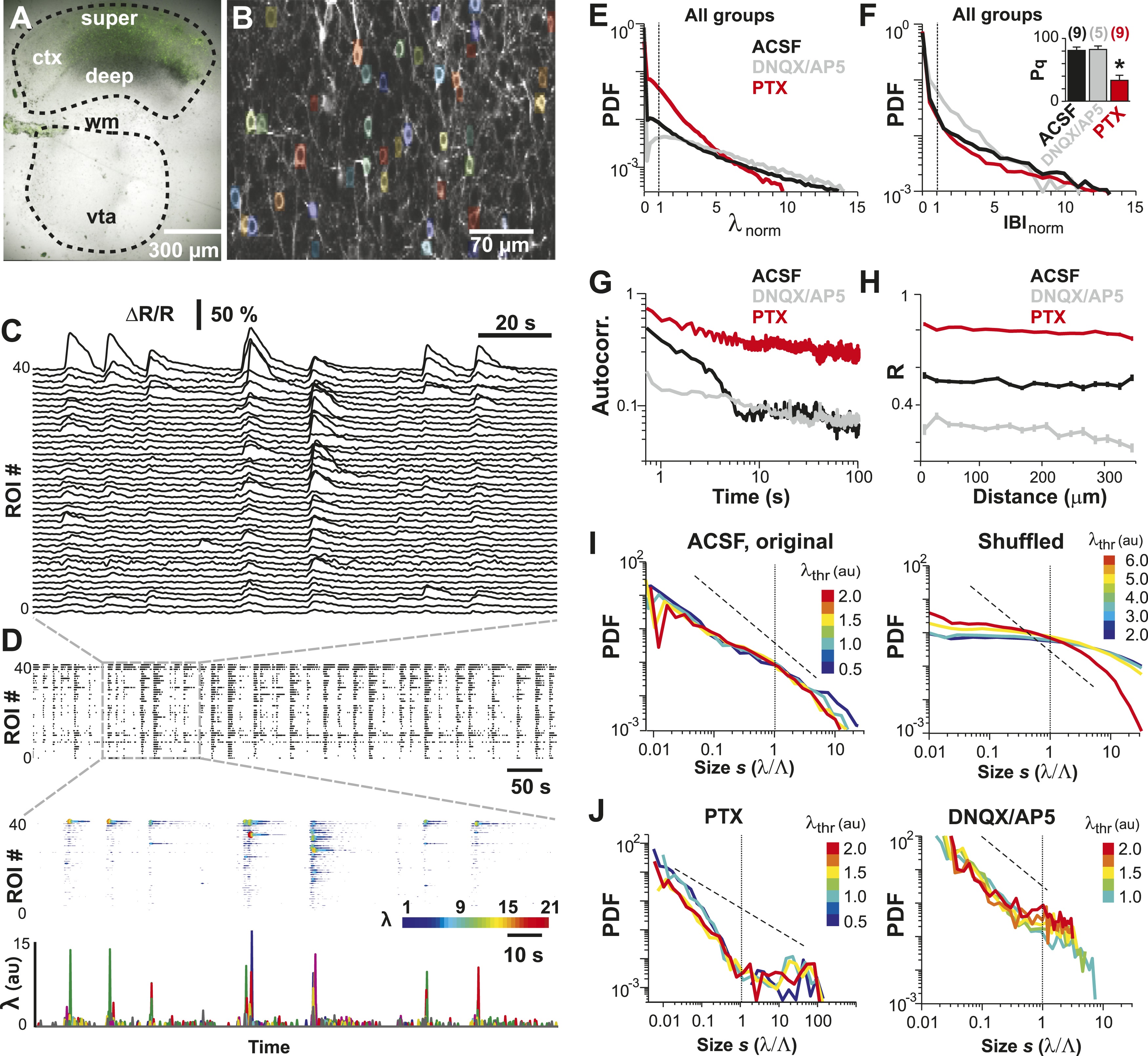 download the rat brain in stereotaxic coordinates sixth