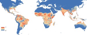 The global distribution of the arbovirus vectors Aedes aegypti and Ae ...