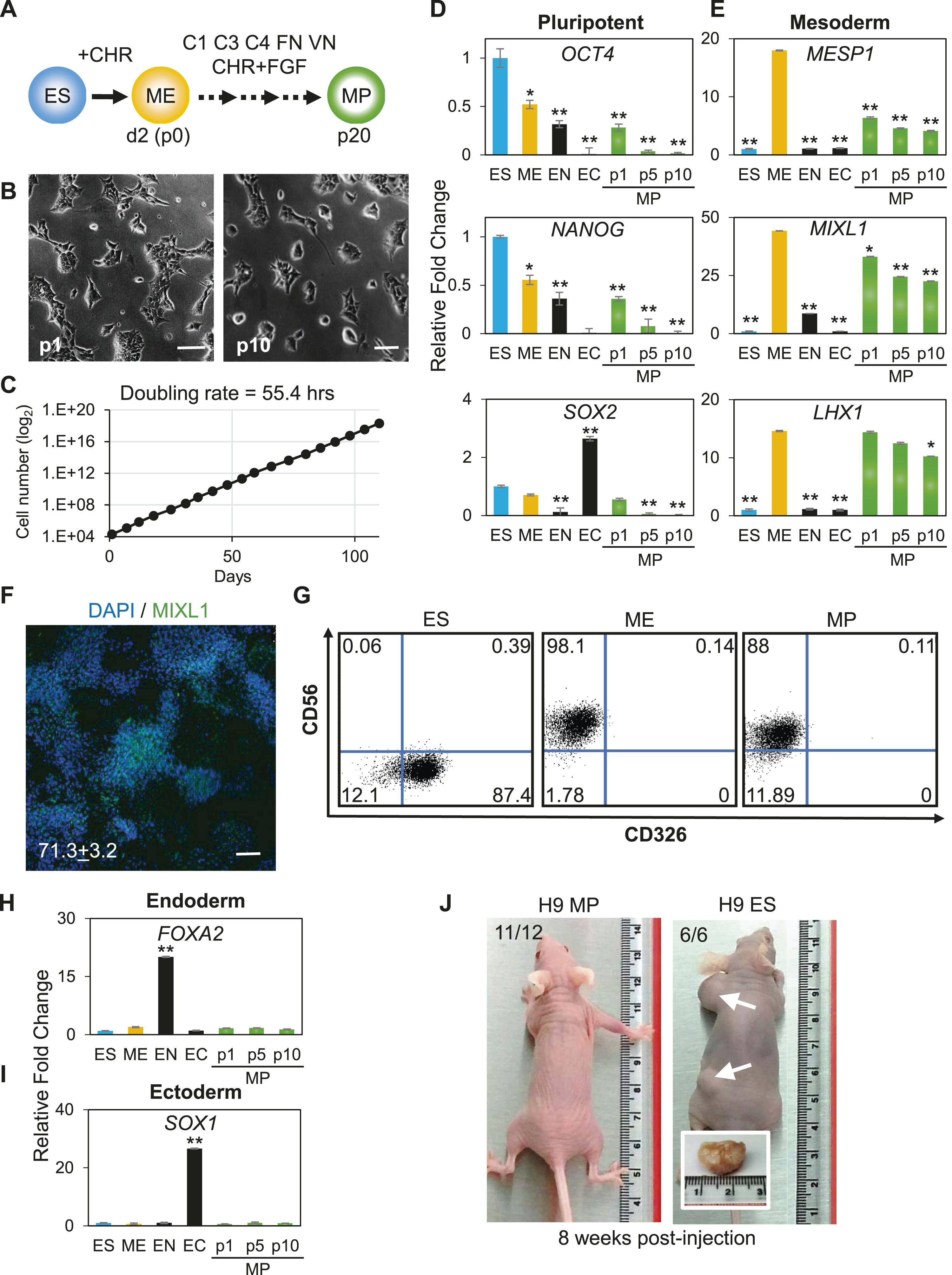 Generation Of An Expandable Intermediate Mesoderm Restricted Progenitor