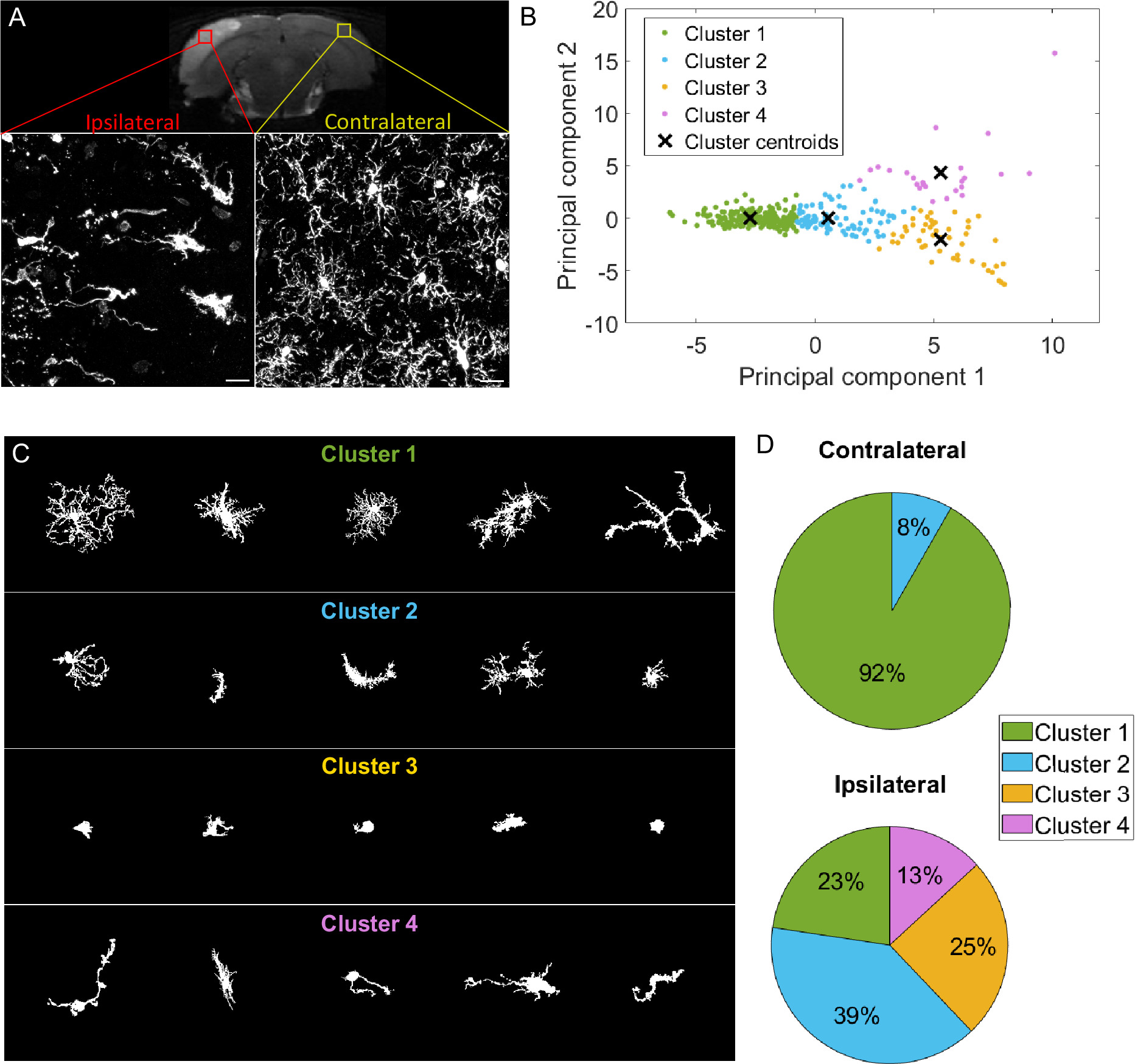 MorphoCellSorter is an Andrews plot-based sorting approach to rank ...