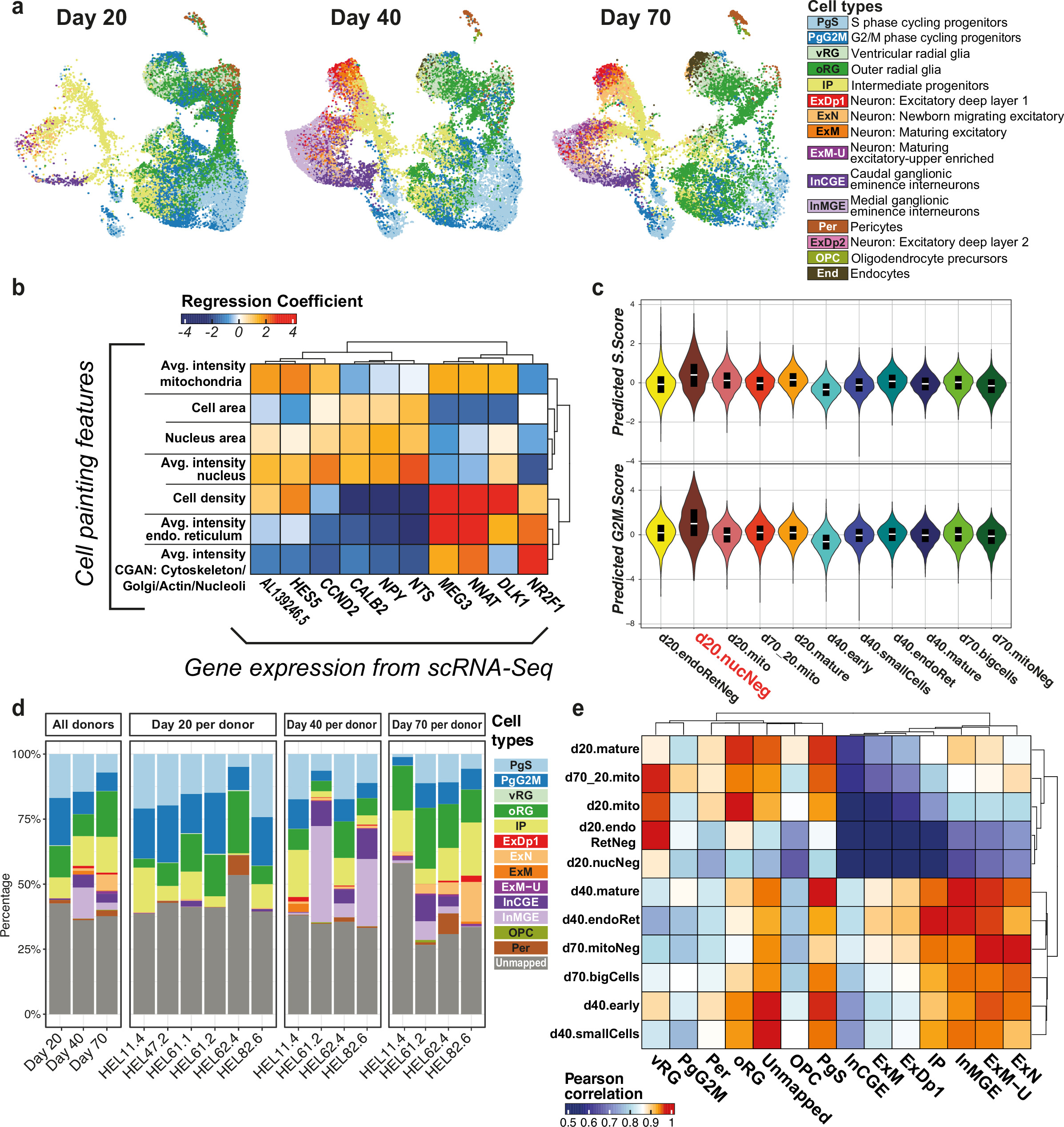 Joint profiling of cell morphology and gene expression during in vitro ...