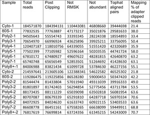 Tunable protein synthesis by transcript isoforms in human cells | eLife