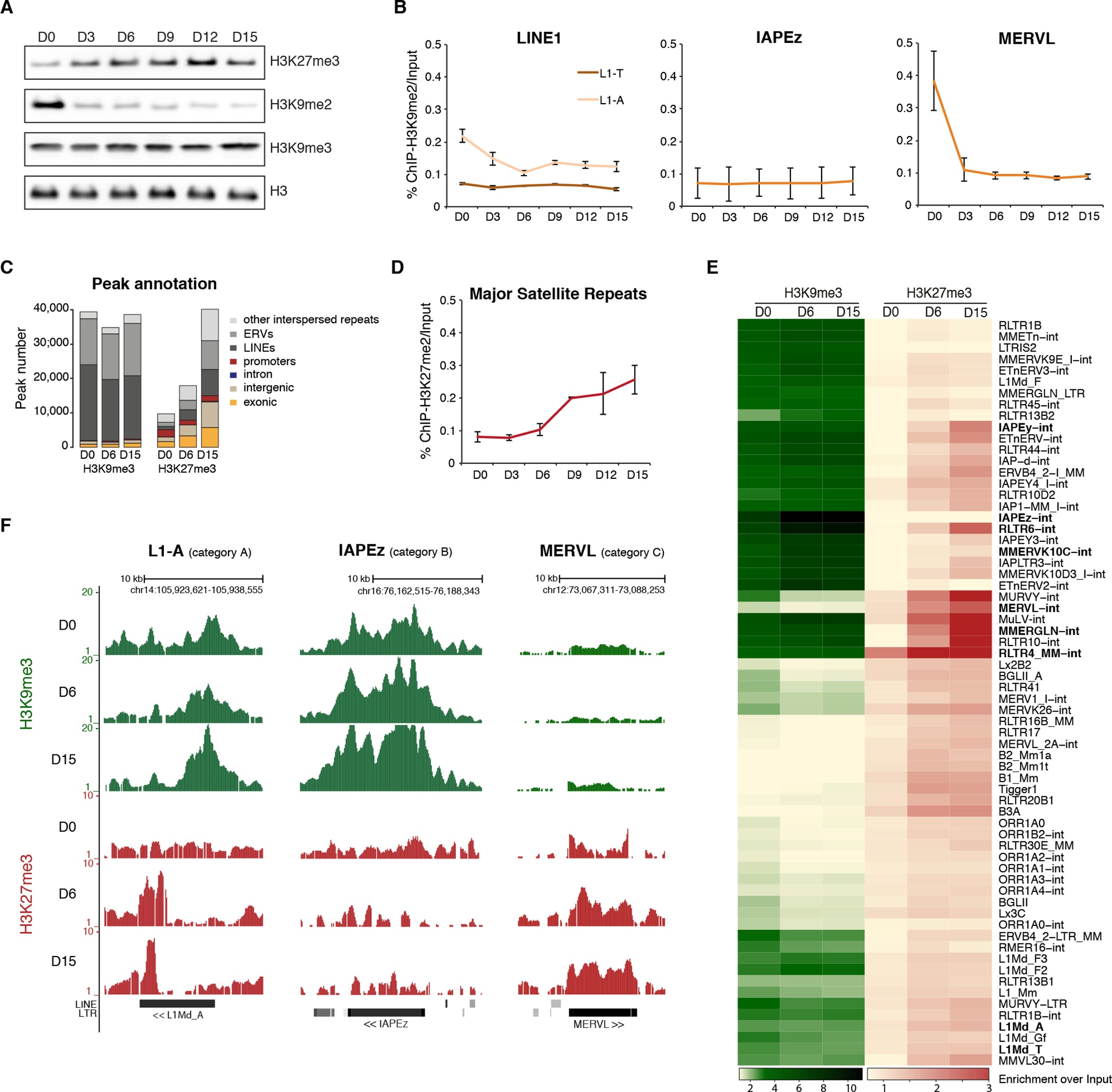 An epigenetic switch ensures transposon repression upon dynamic loss of ...