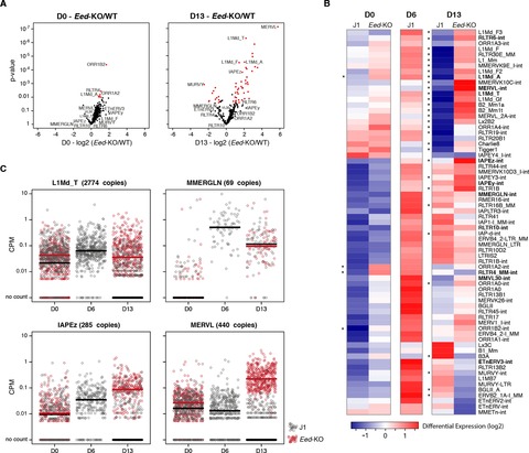 An epigenetic switch ensures transposon repression upon dynamic loss of ...