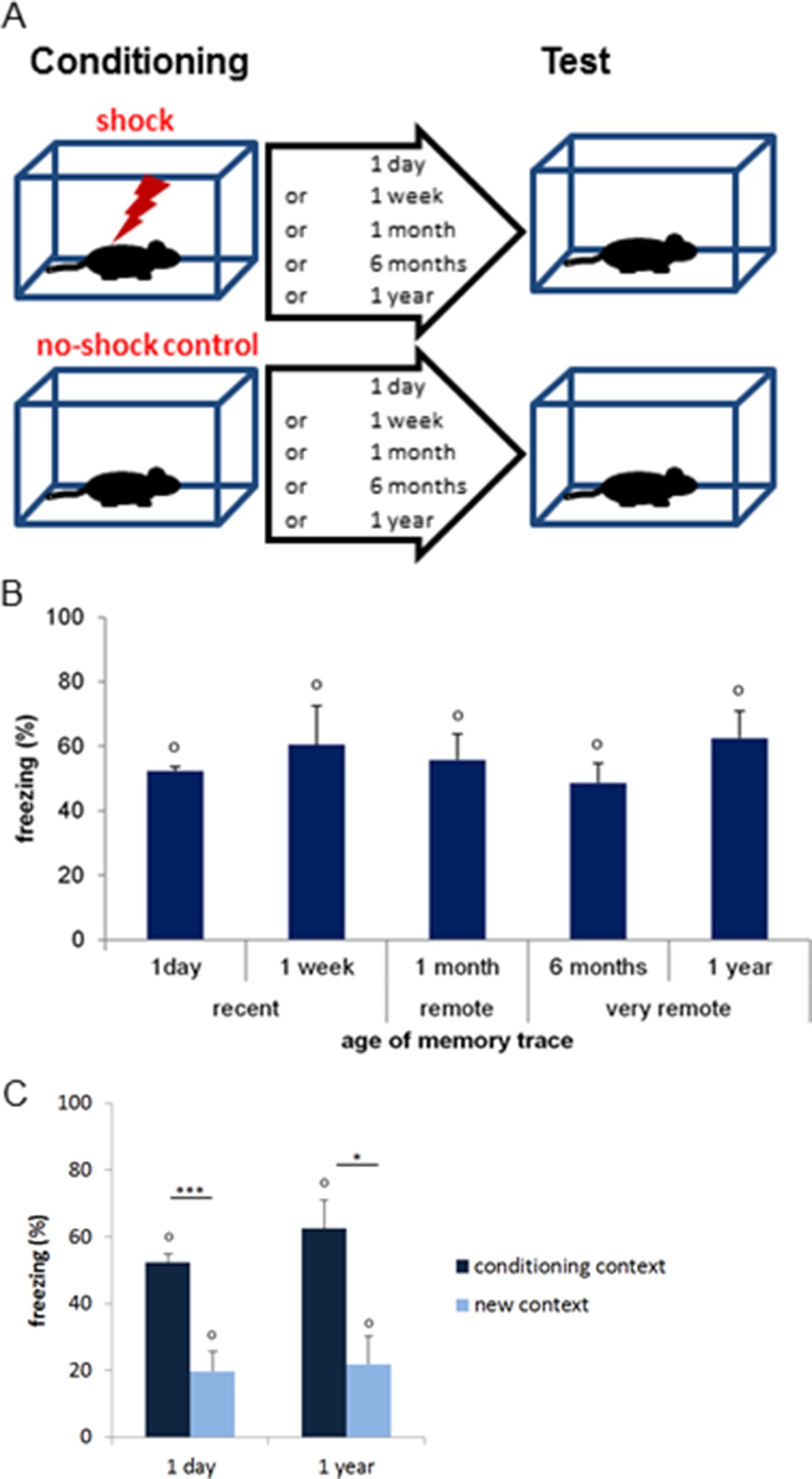 Imaging a memory trace over half a life-time in the medial temporal ...