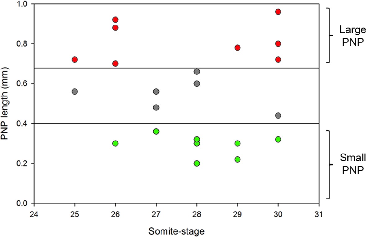 download biological growth and spread mathematical