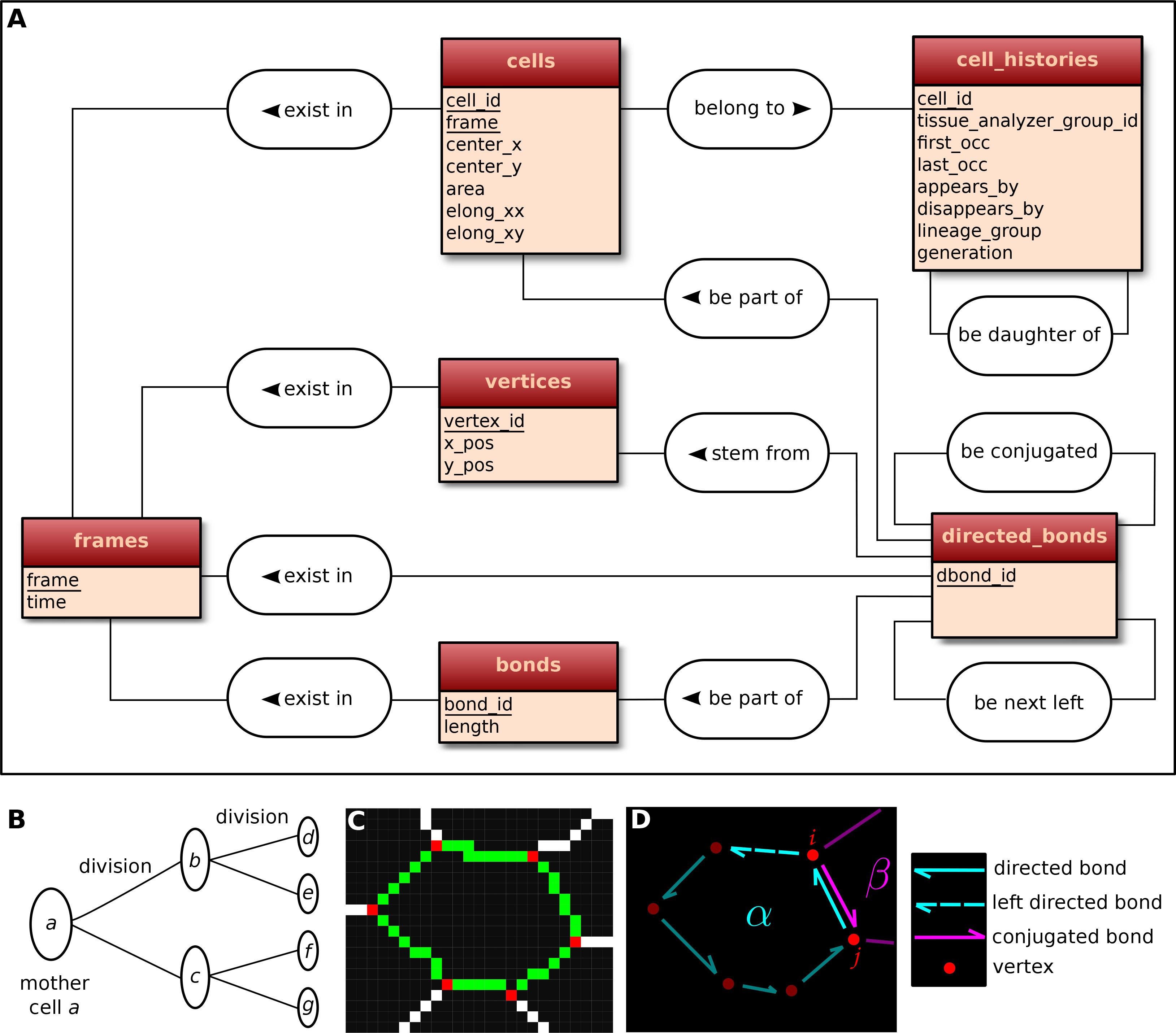 Tissueminer A Multiscale Analysis Toolkit To Quantify How