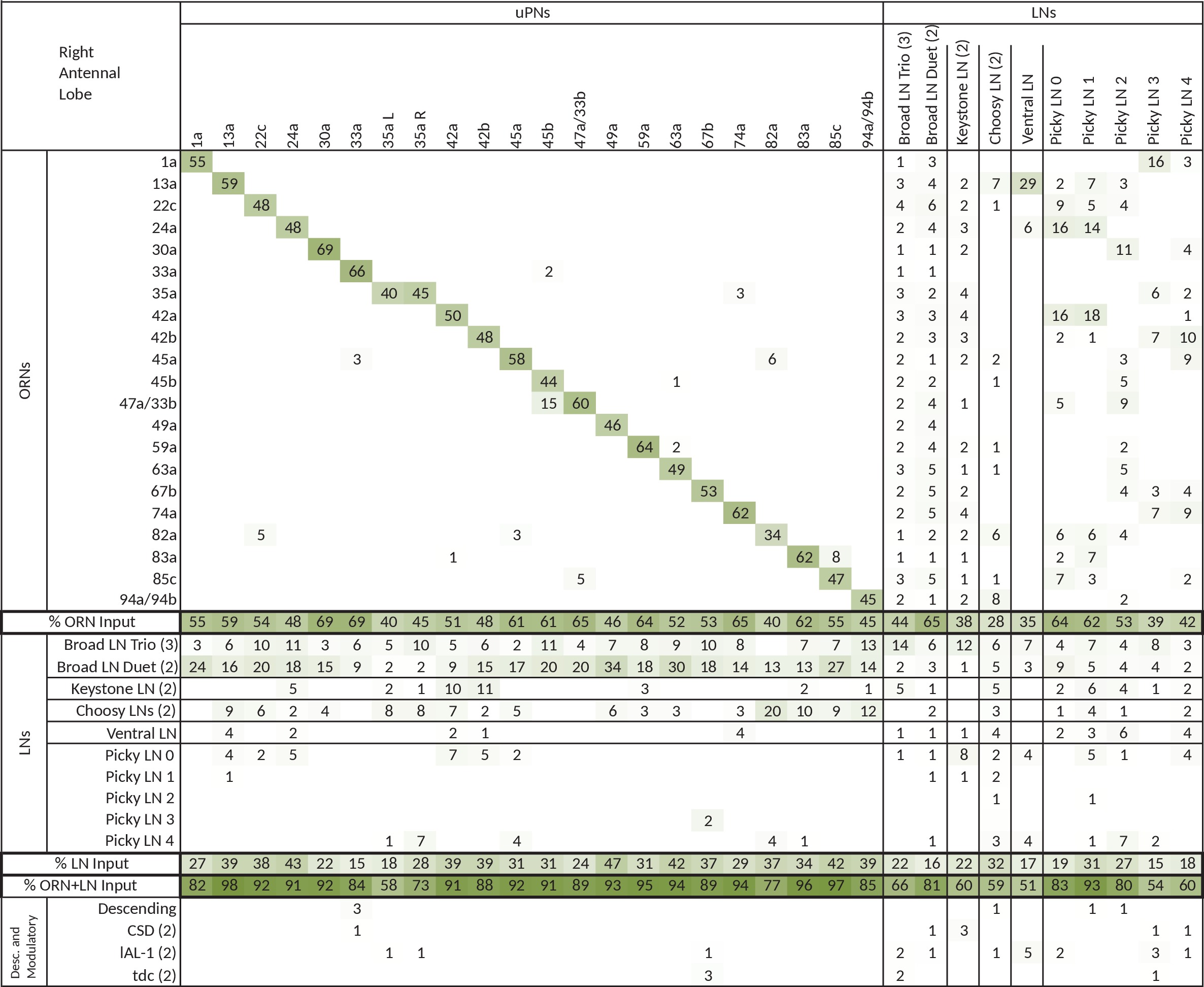 Extended version of table in Figure 3c, including all other  olfactory-related neurons.