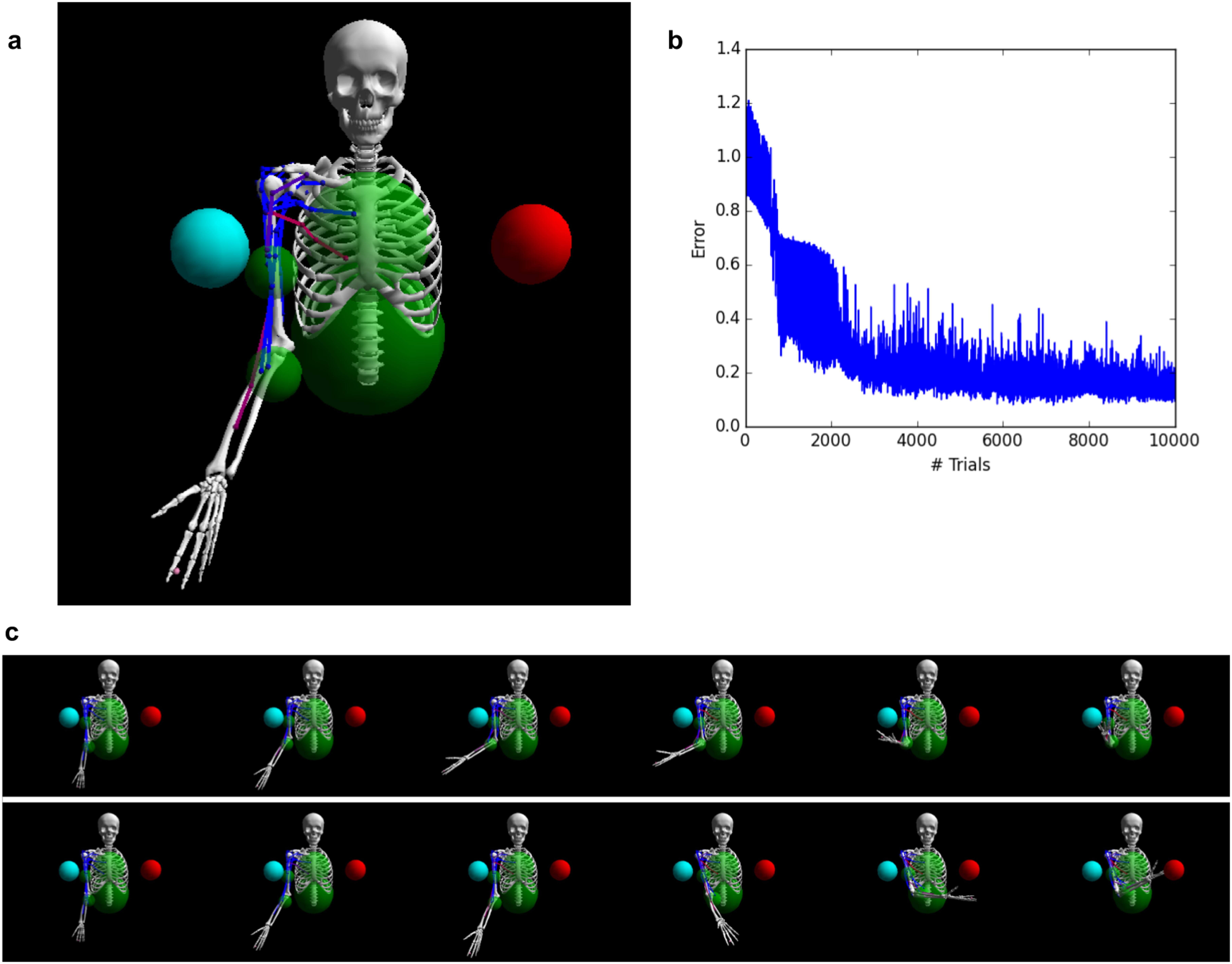 Biophysics Model Biologically plausible learning in recurrent neural networks reproduces ...