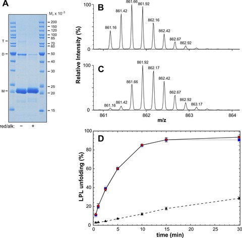 The angiopoietin-like protein ANGPTL4 catalyzes unfolding of the ...