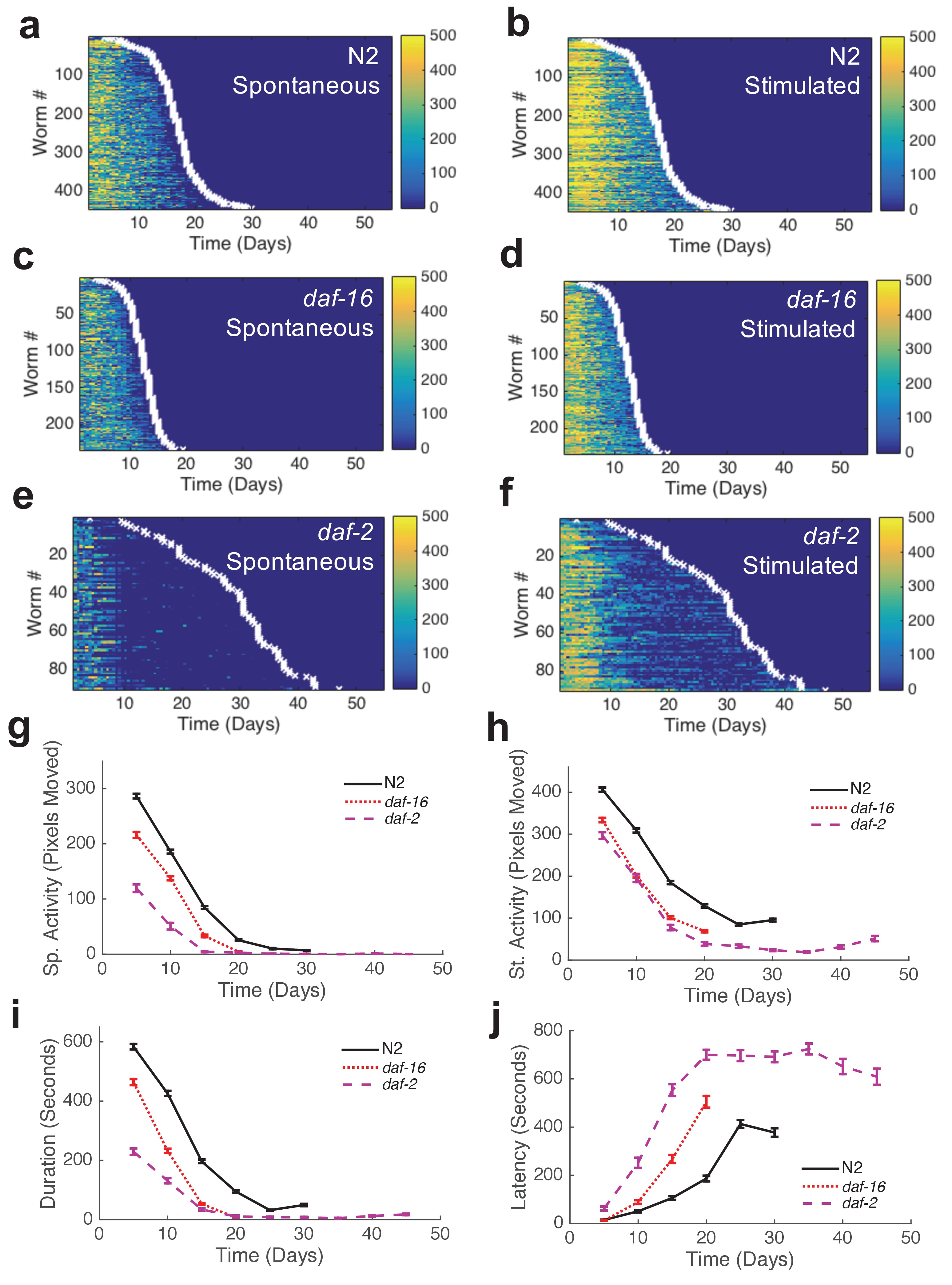 Longitudinal imaging of Caenorhabditis elegans in a microfabricated ...