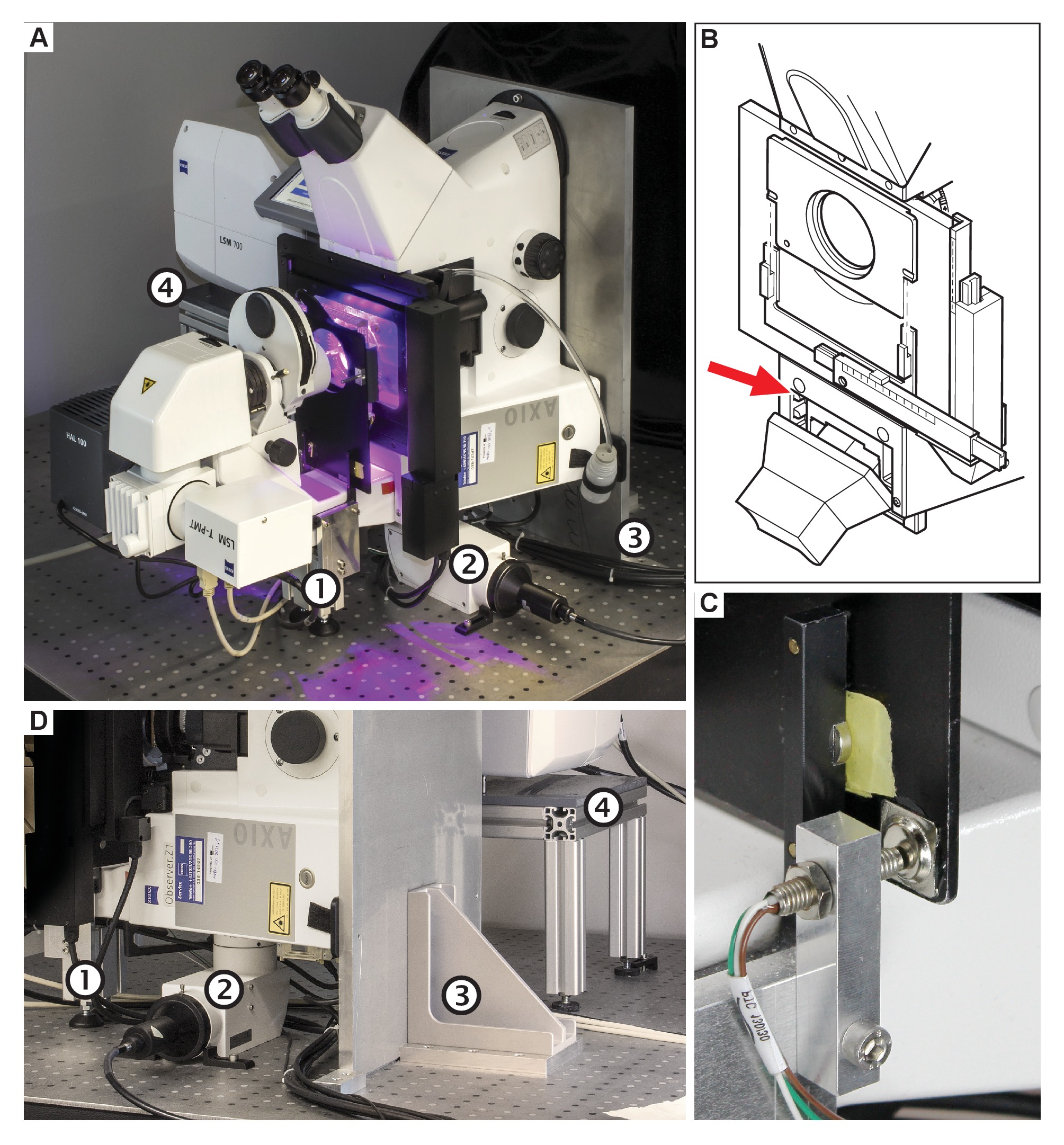 Live tracking of moving samples in confocal microscopy for vertically ...