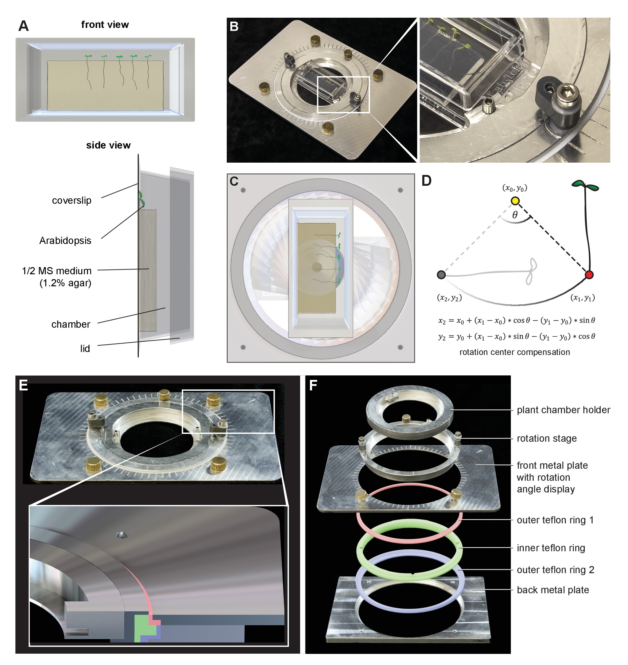 Live tracking of moving samples in confocal microscopy for vertically ...