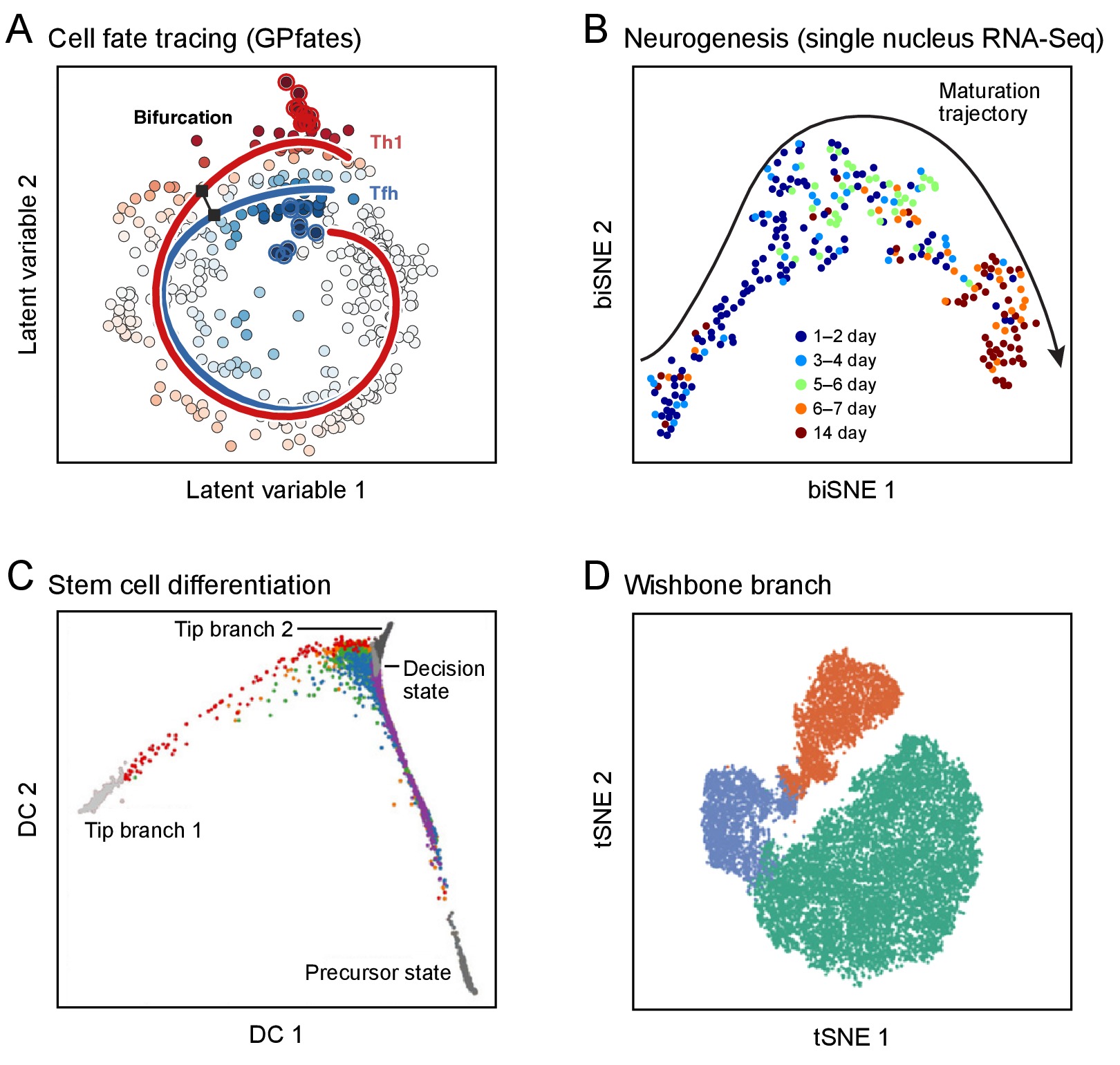 Human Cell Atlast Methods The Human Cell Atlas | eLife Lens