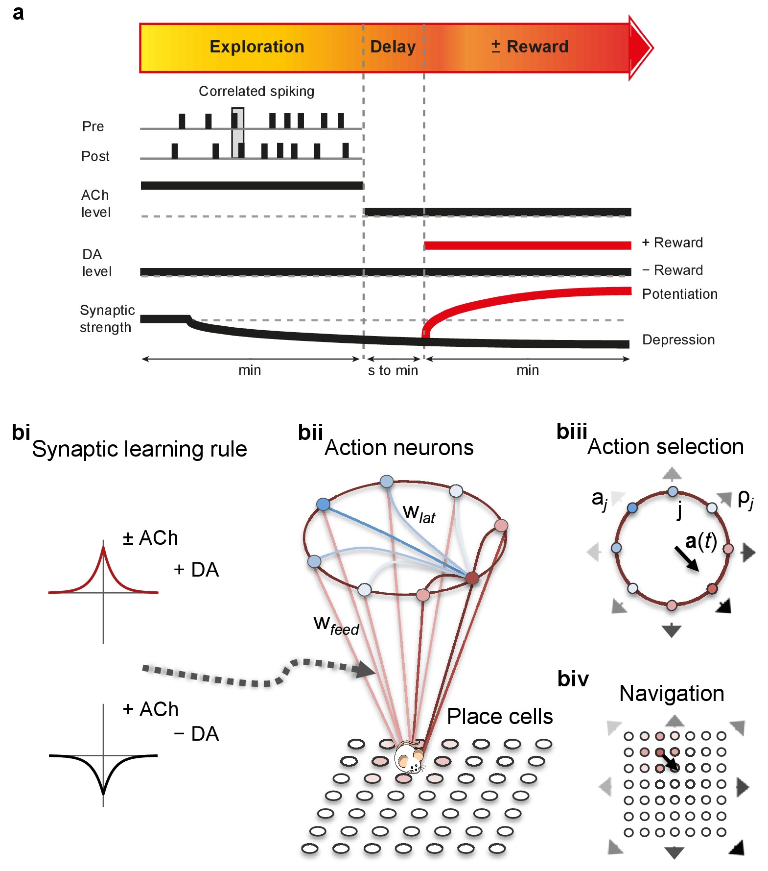 Sequential neuromodulation of Hebbian plasticity offers mechanism for ...