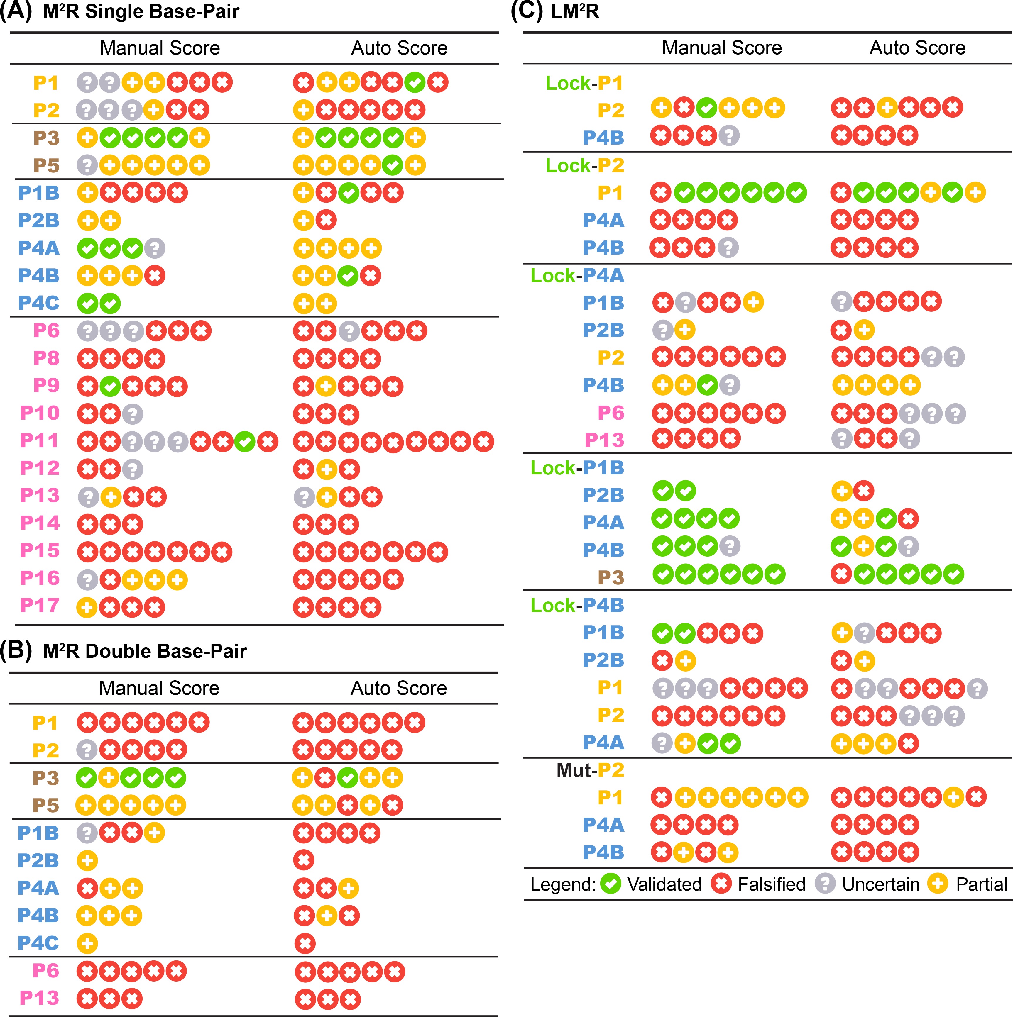 Allosteric mechanism of the V. vulnificus adenine riboswitch resolved ...