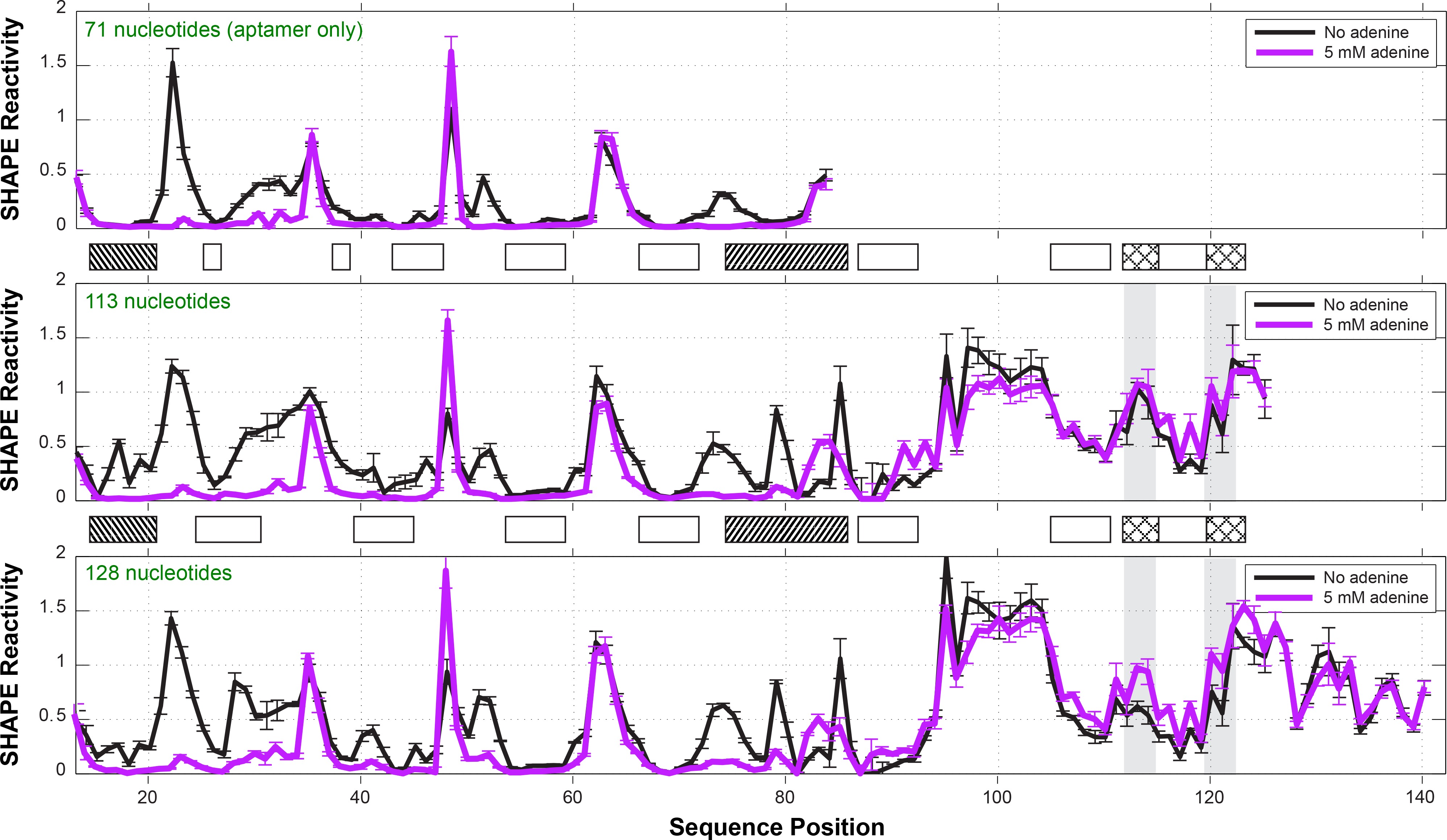 Allosteric mechanism of the V. vulnificus adenine riboswitch resolved ...