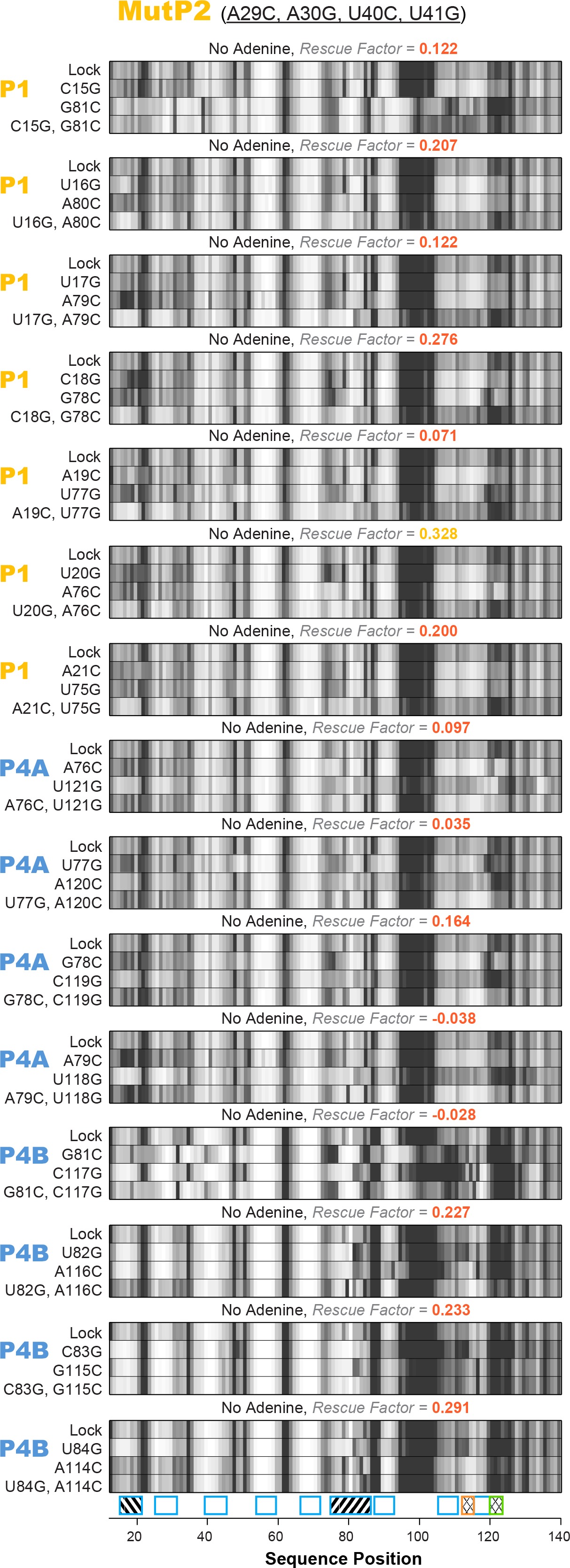 Allosteric mechanism of the V. vulnificus adenine riboswitch resolved ...