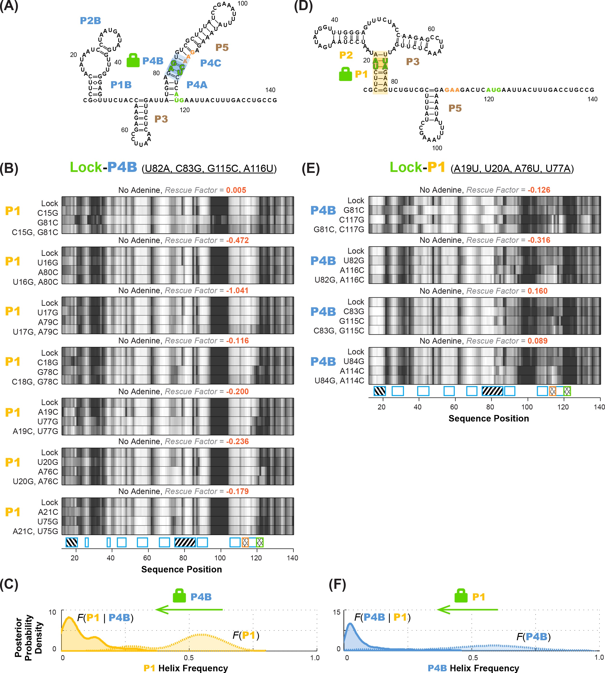 Allosteric mechanism of the V. vulnificus adenine riboswitch resolved ...