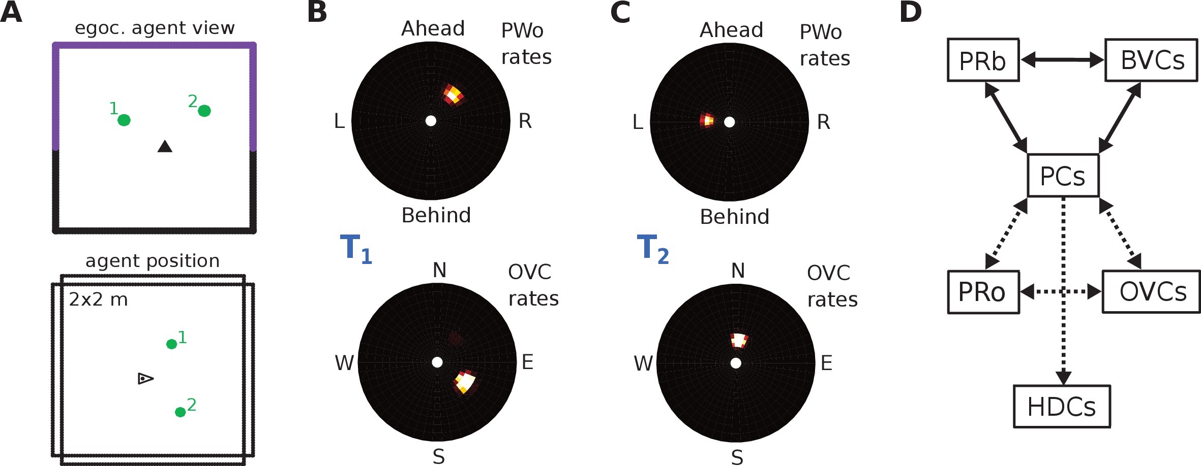 A neural-level model of spatial memory and imagery | eLife Lens
