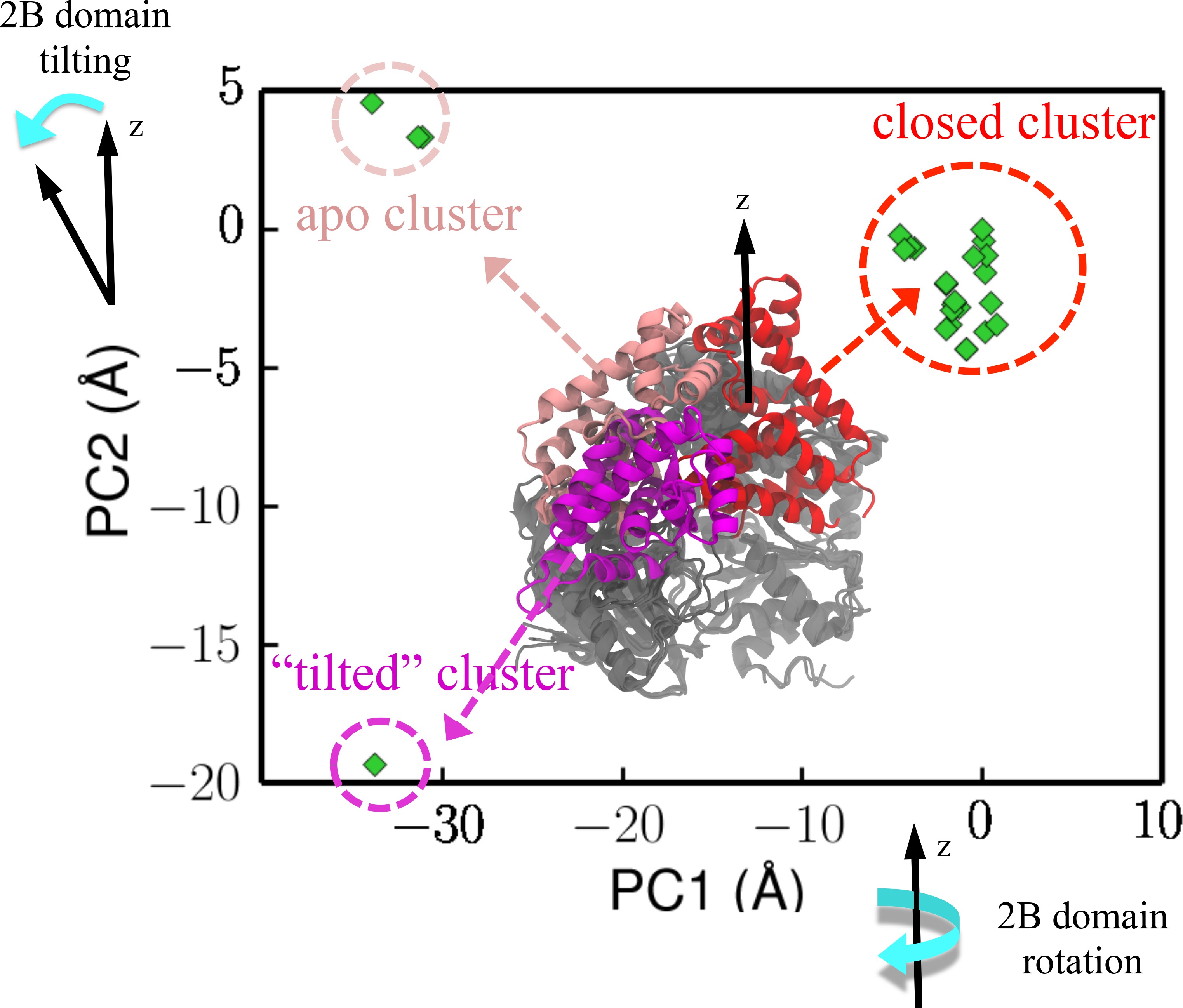 Free-energy simulations reveal molecular mechanism for functional ...