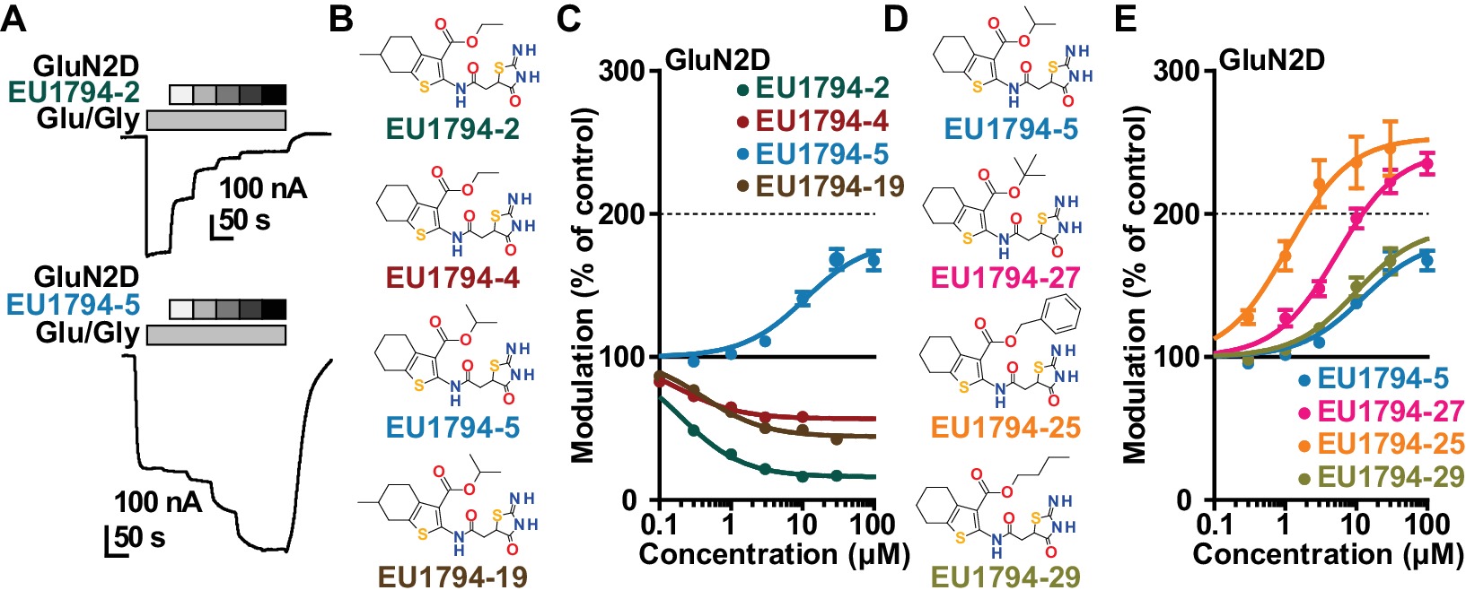 Interconverted An NMDAR positive and negative allosteric modulator series share a ...