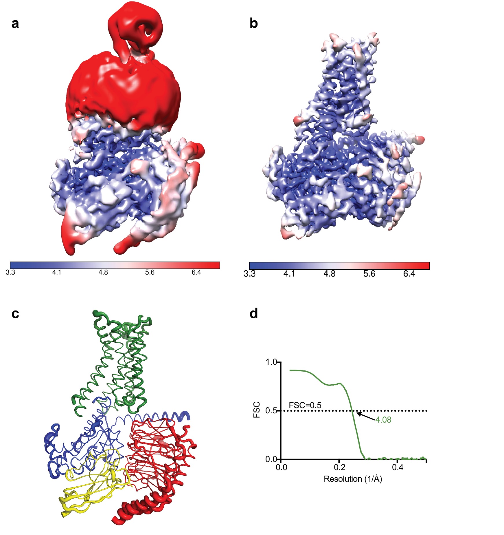 Cryo-EM structure of the adenosine A2A receptor coupled to an ...