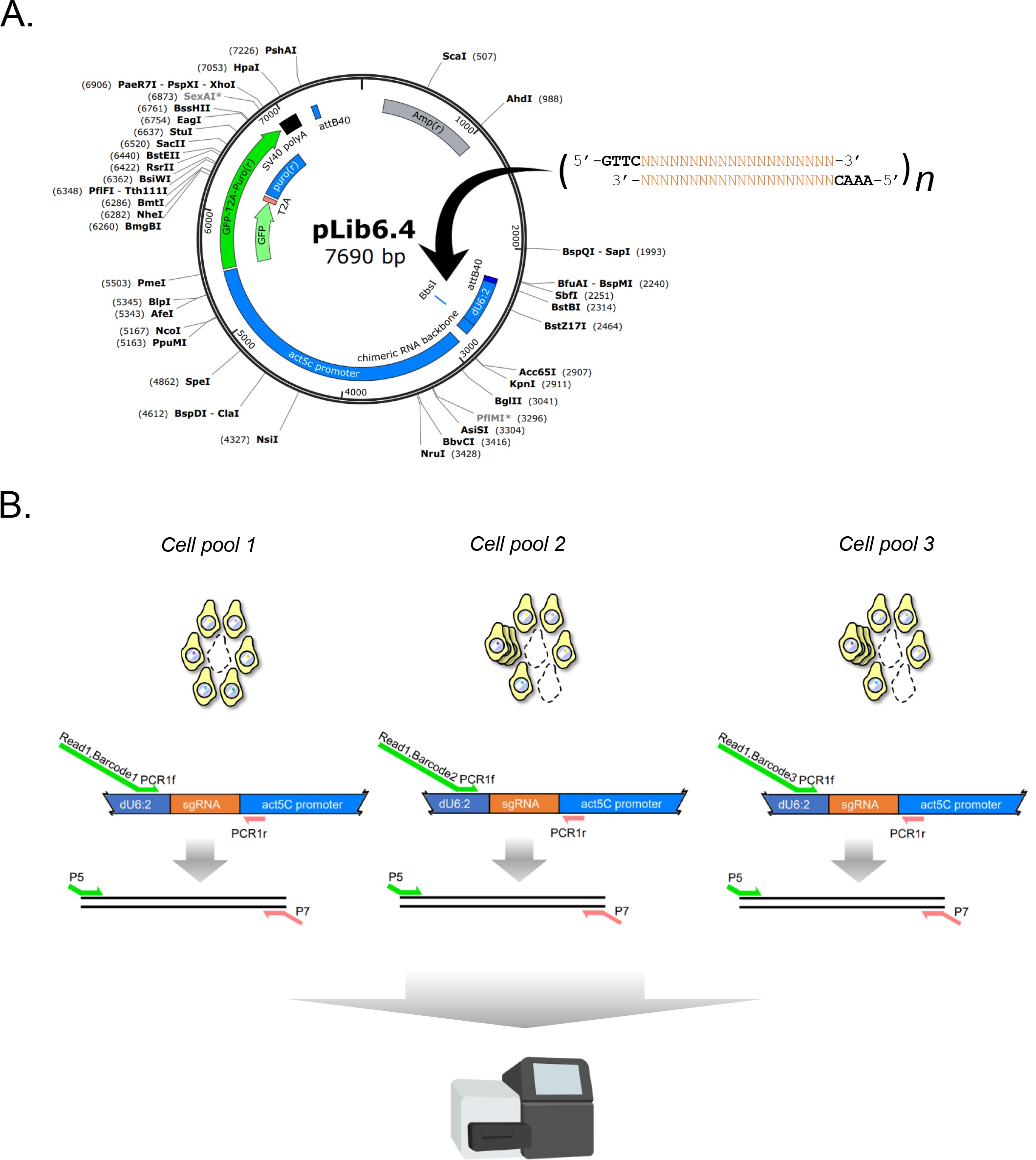 Pooled genome-wide CRISPR screening for basal and context-specific ...