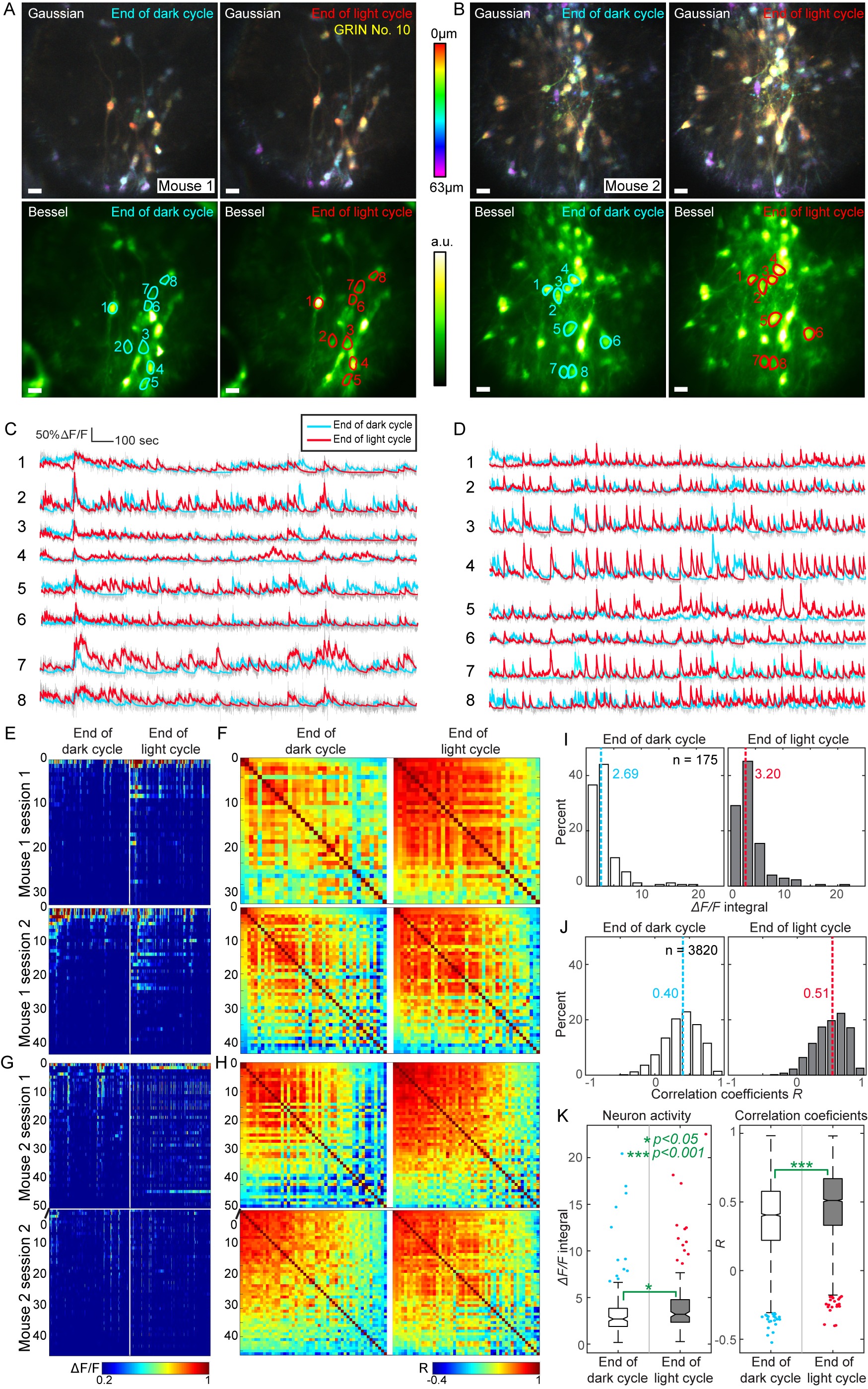 High-throughput Synapse-resolving Two-photon Fluorescence ...