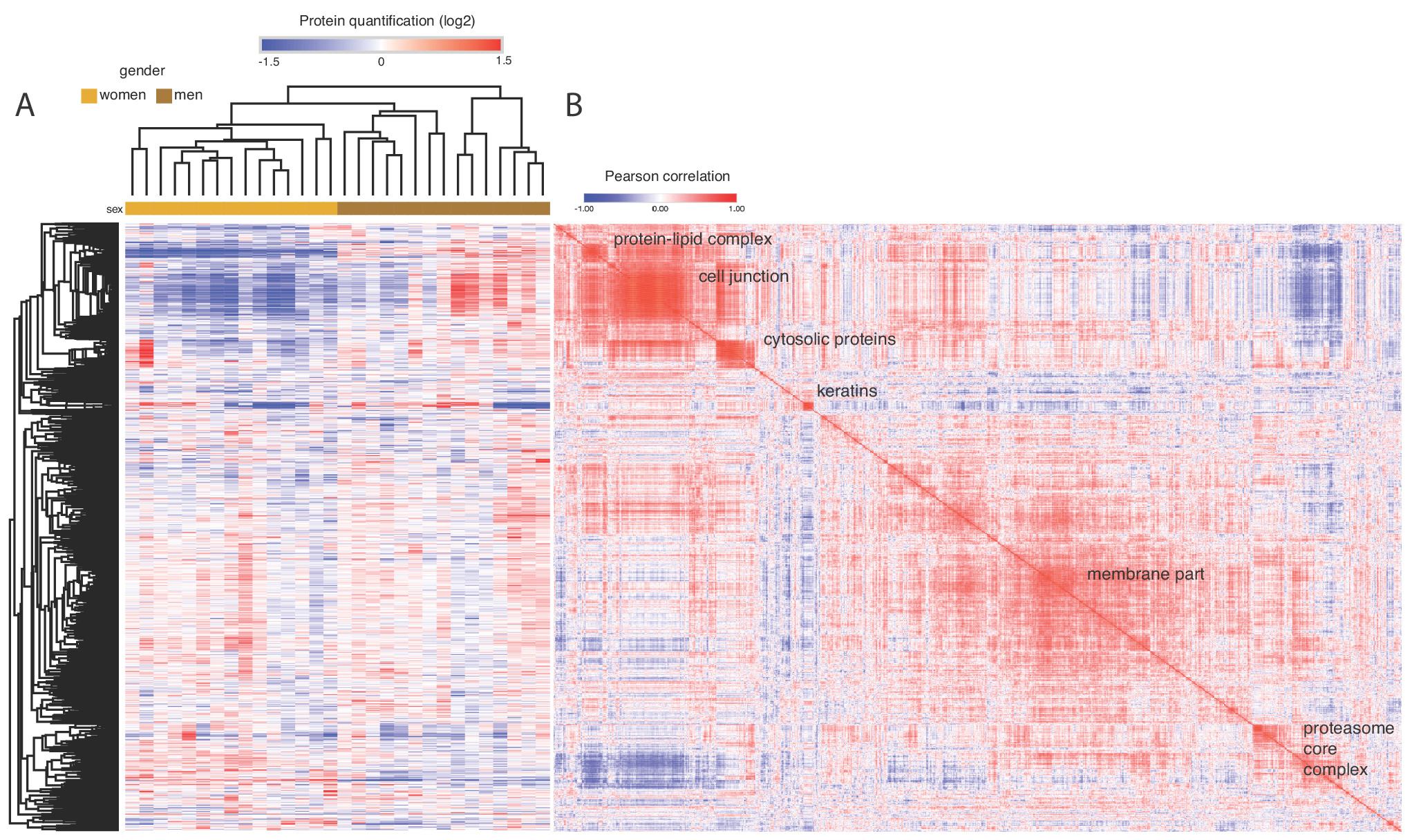 In-depth human plasma proteome analysis captures tissue proteins and ...