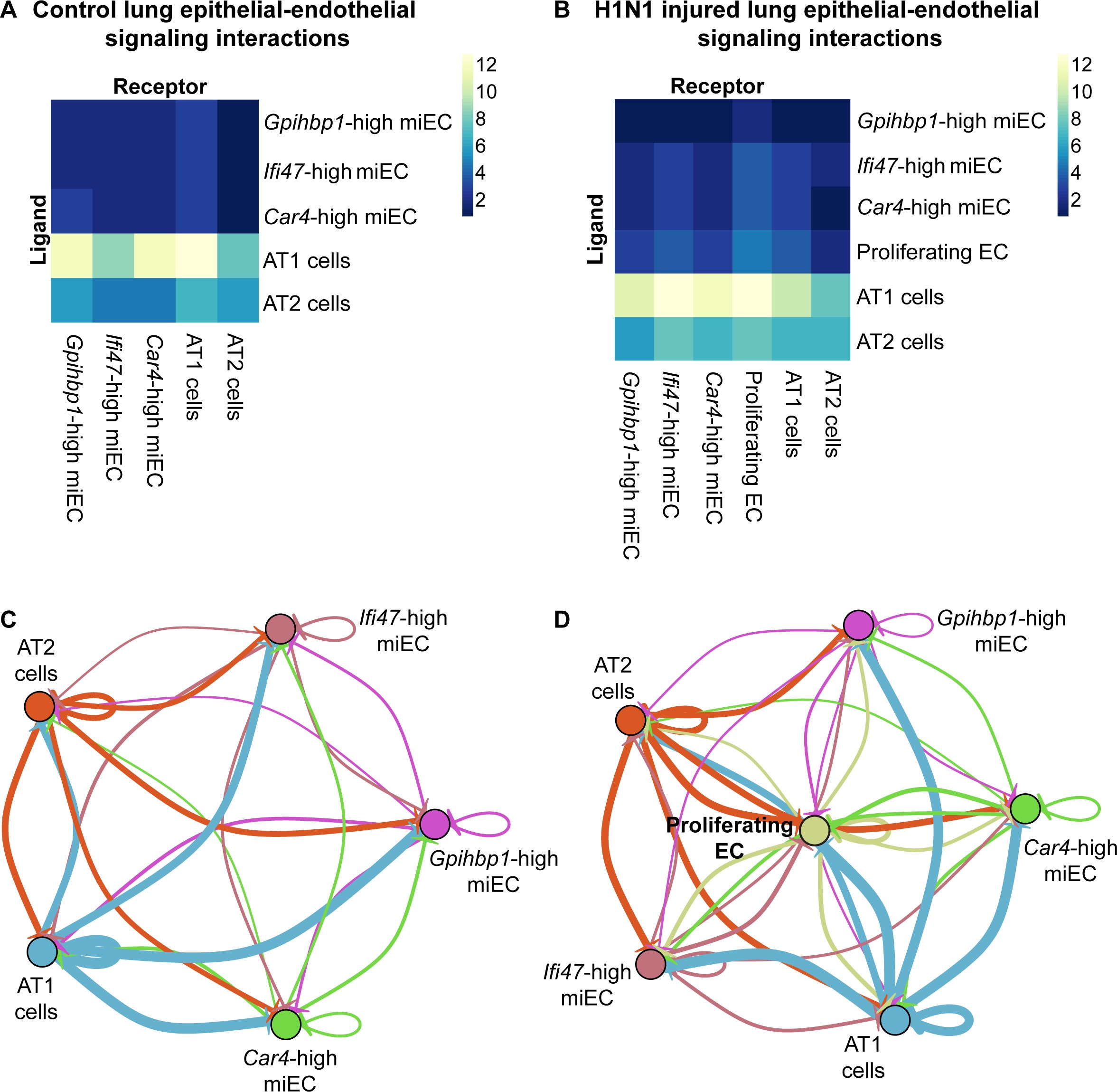 Defining the role of pulmonary endothelial cell heterogeneity in the ...
