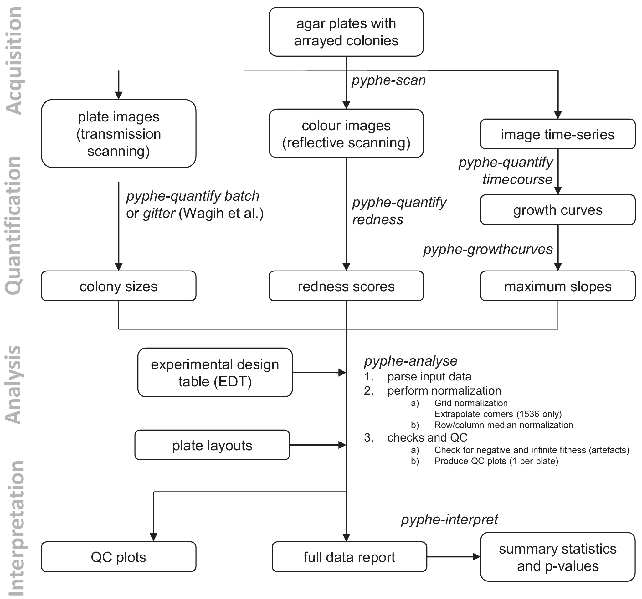 Pyphe, a python toolbox for assessing microbial growth and cell ...