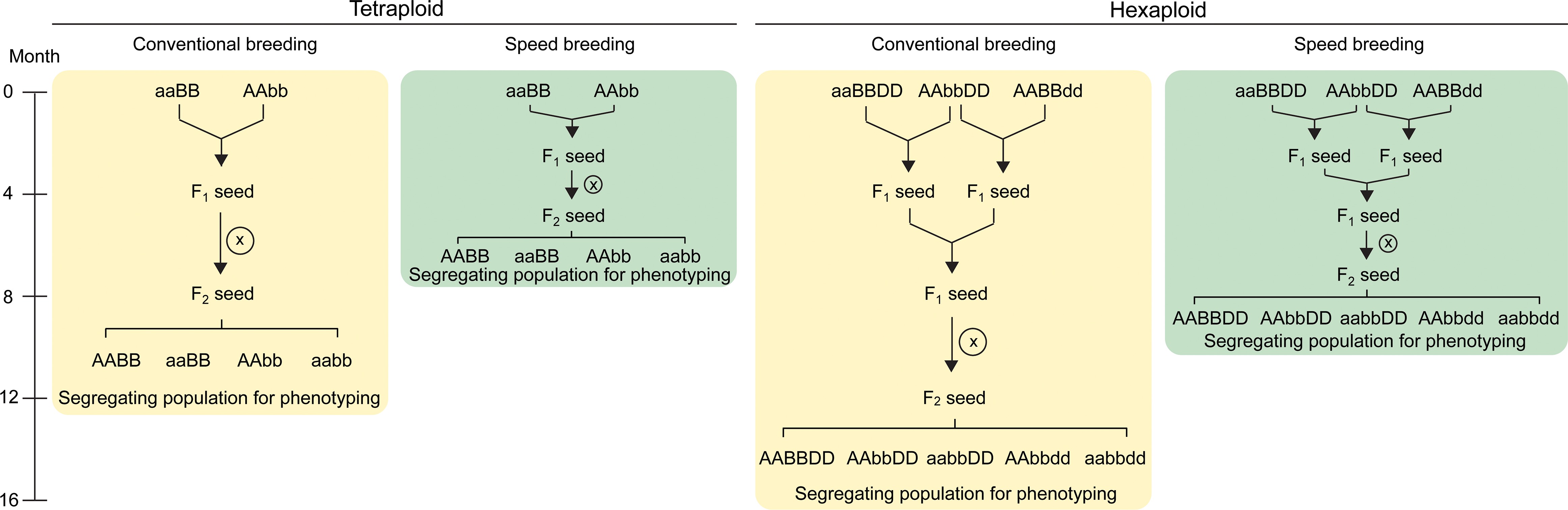 A roadmap for gene functional characterisation in crops with large ...