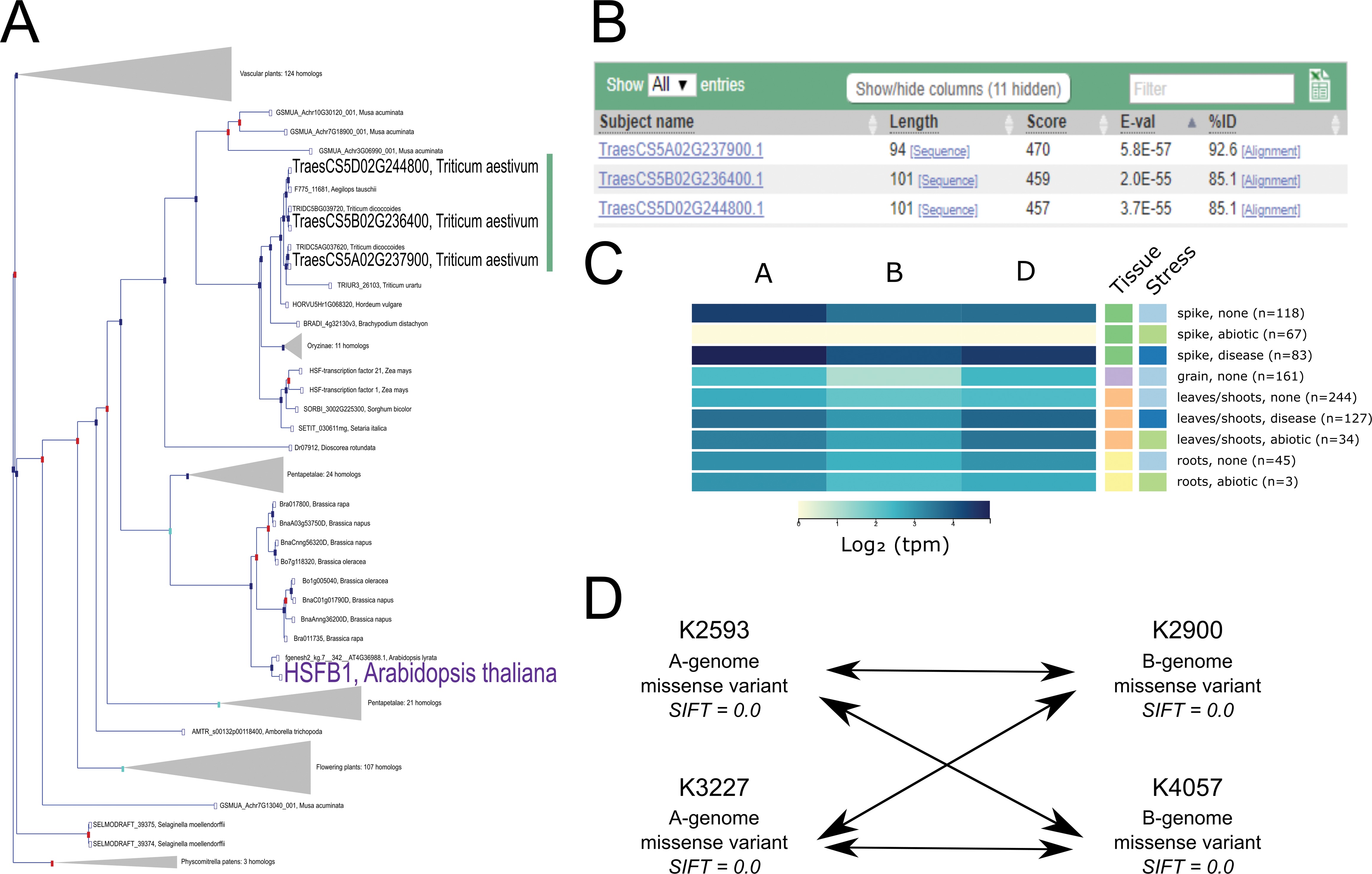 A roadmap for gene functional characterisation in crops with large ...