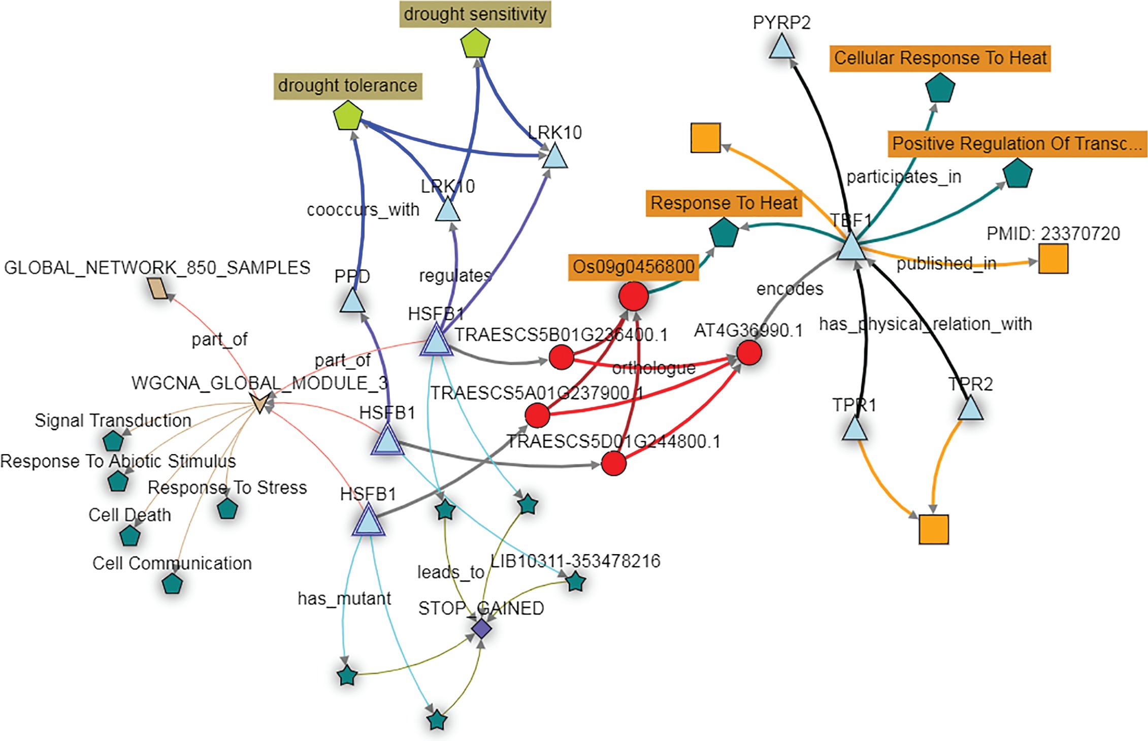 A roadmap for gene functional characterisation in crops with large ...