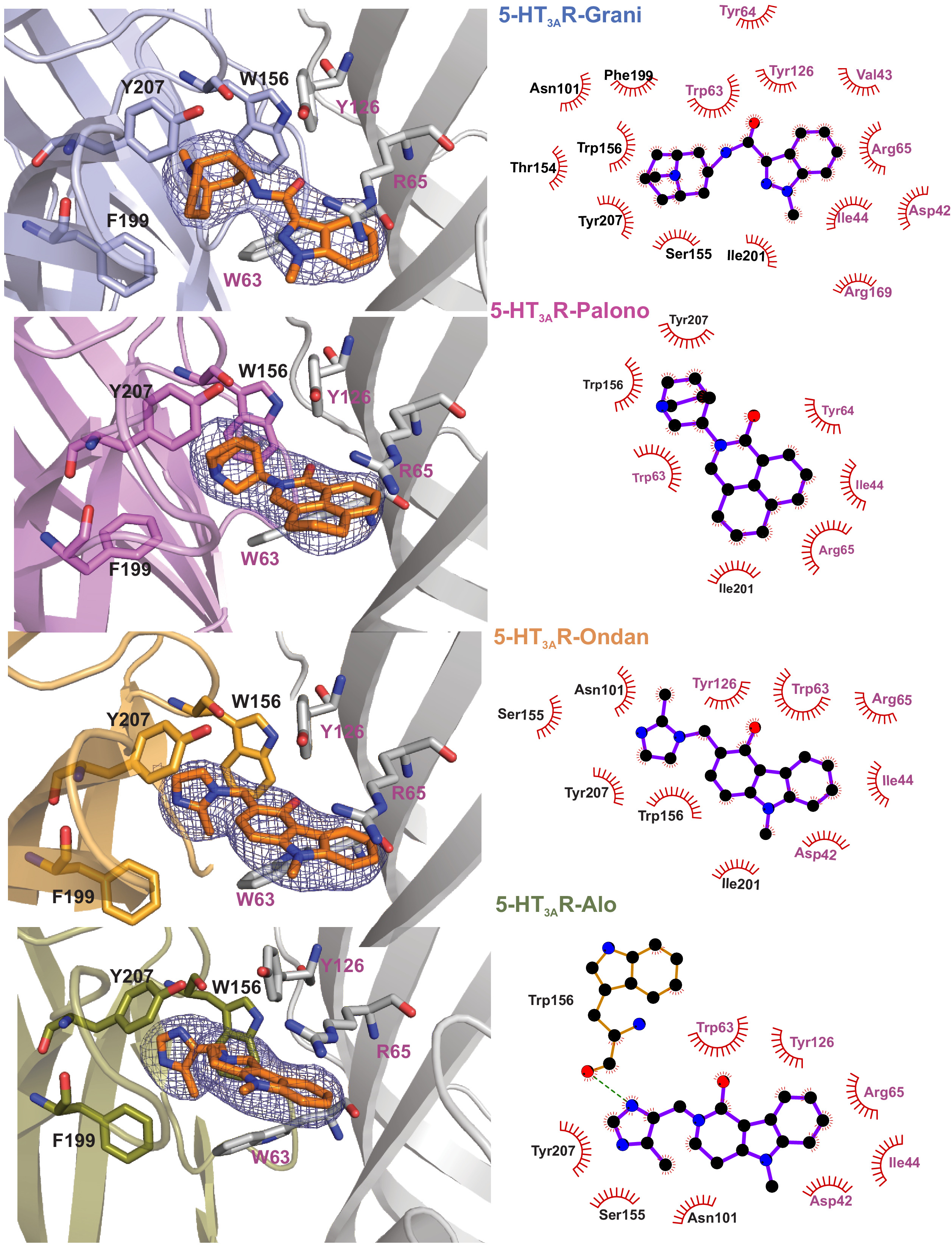 Setron Md High-resolution structures of multiple 5-HT3AR-setron complexes reveal ...