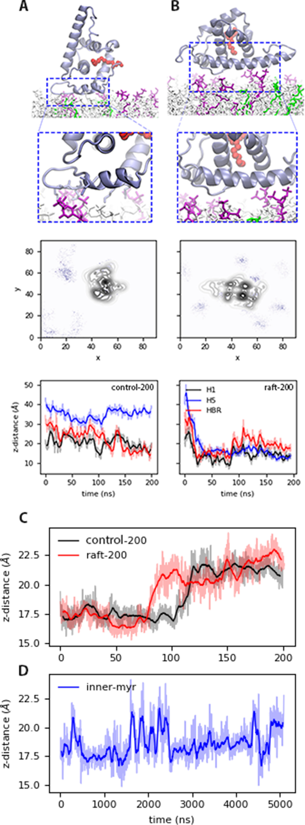 Binding mechanism of the matrix domain of HIV-1 gag on lipid membranes ...